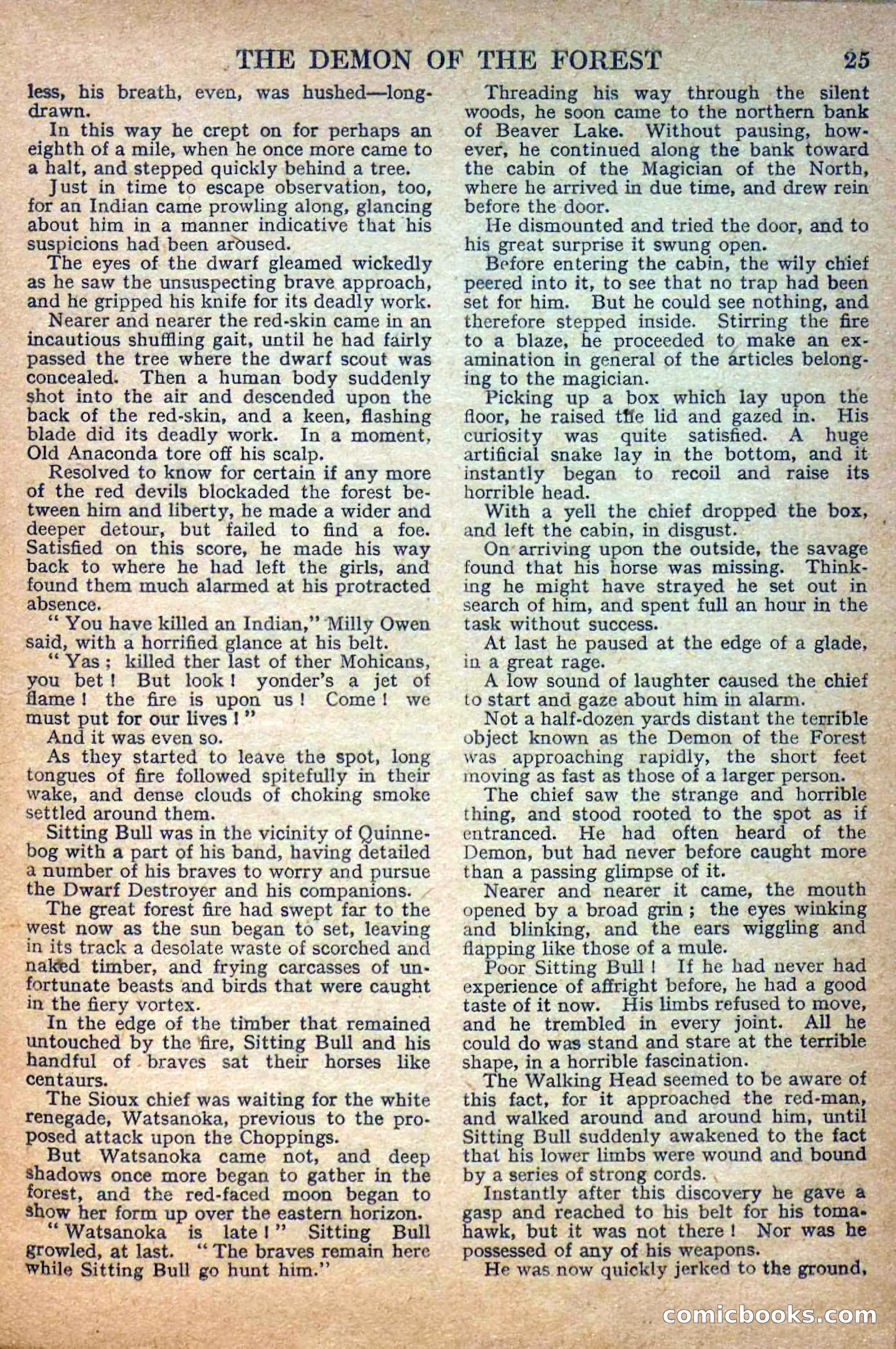 Deadwood Dick Library No. 22: The Demon of the Forest — page 27 of 36