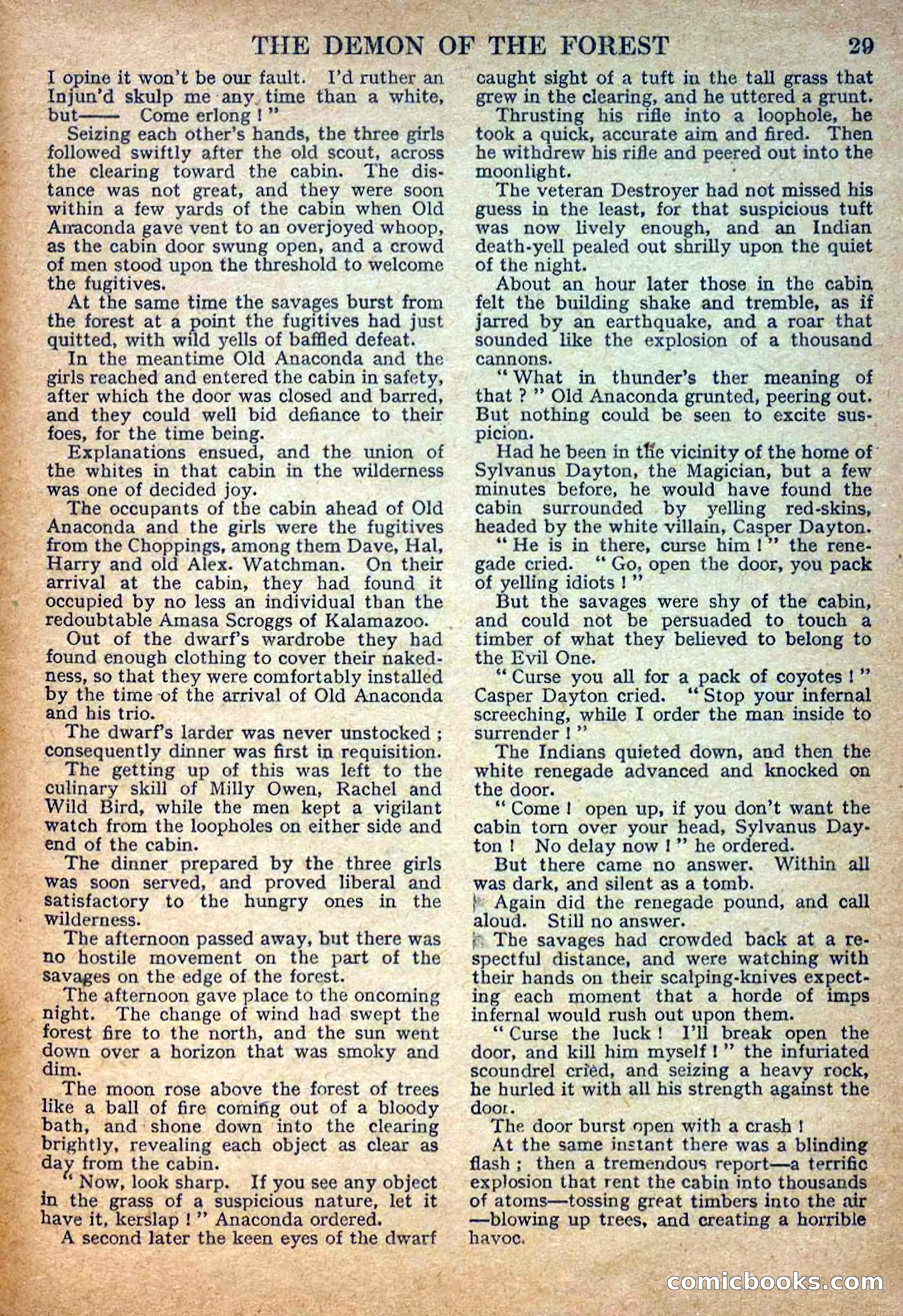 Deadwood Dick Library No. 22: The Demon of the Forest — page 31 of 36