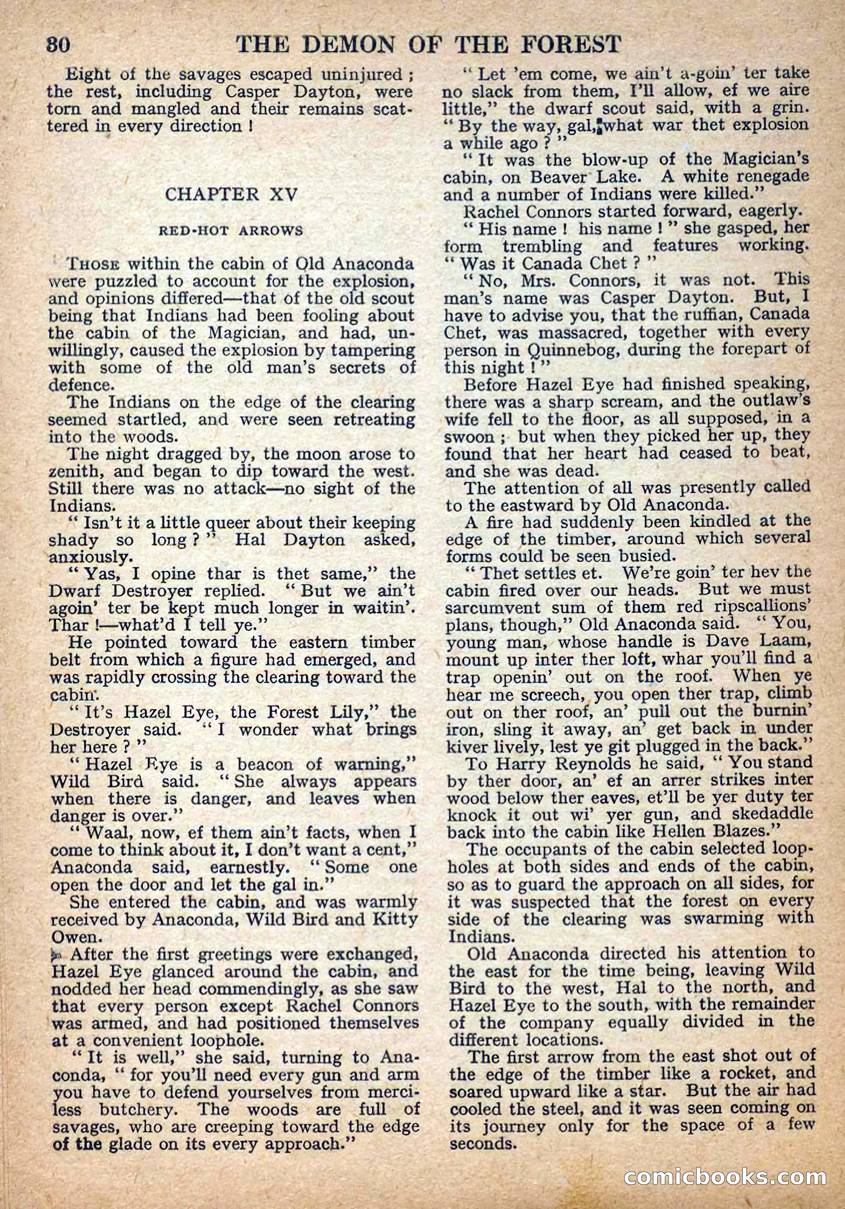 Deadwood Dick Library No. 22: The Demon of the Forest — page 32 of 36