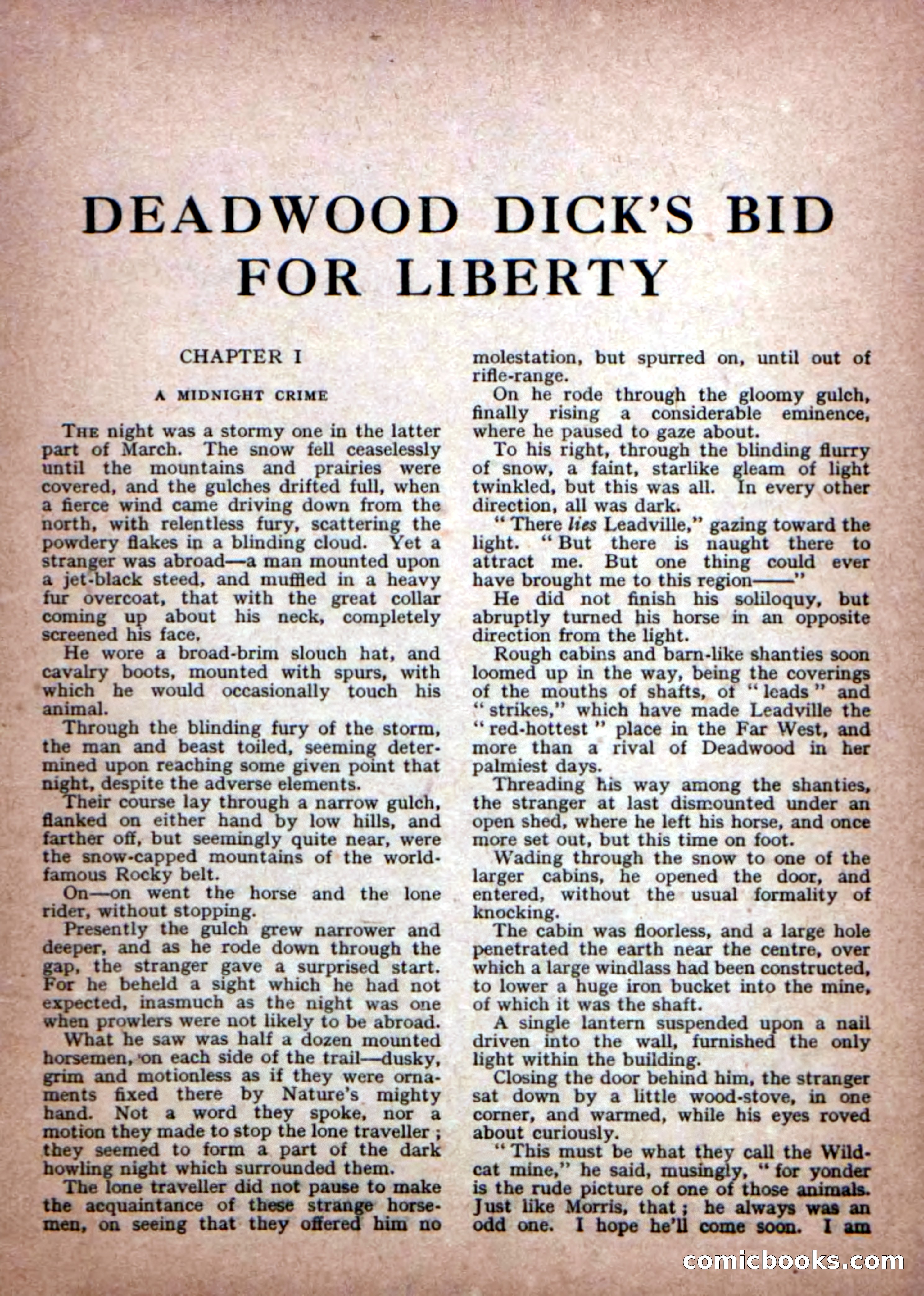 Deadwood Dick Library No. 23 — page 3 of 36