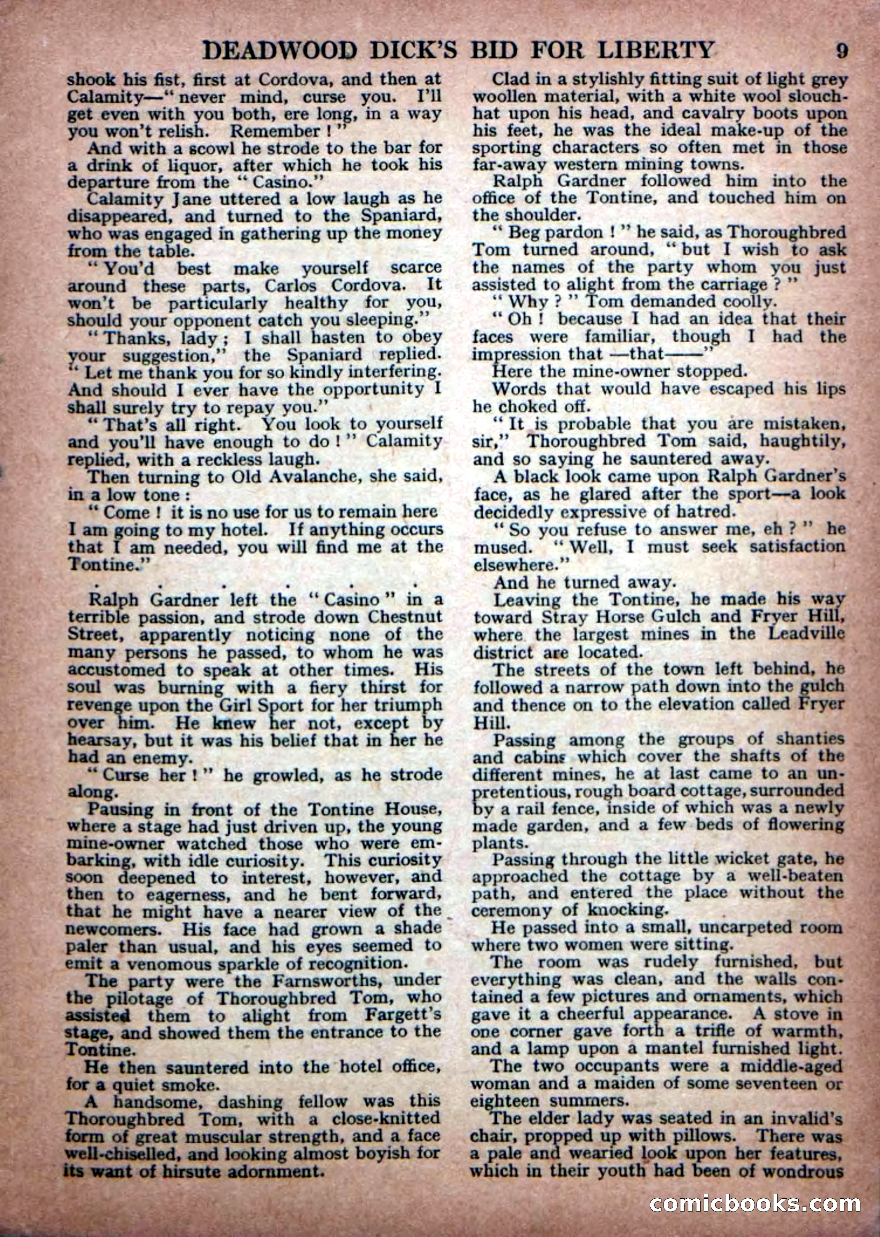 Deadwood Dick Library No. 23 — page 11 of 36