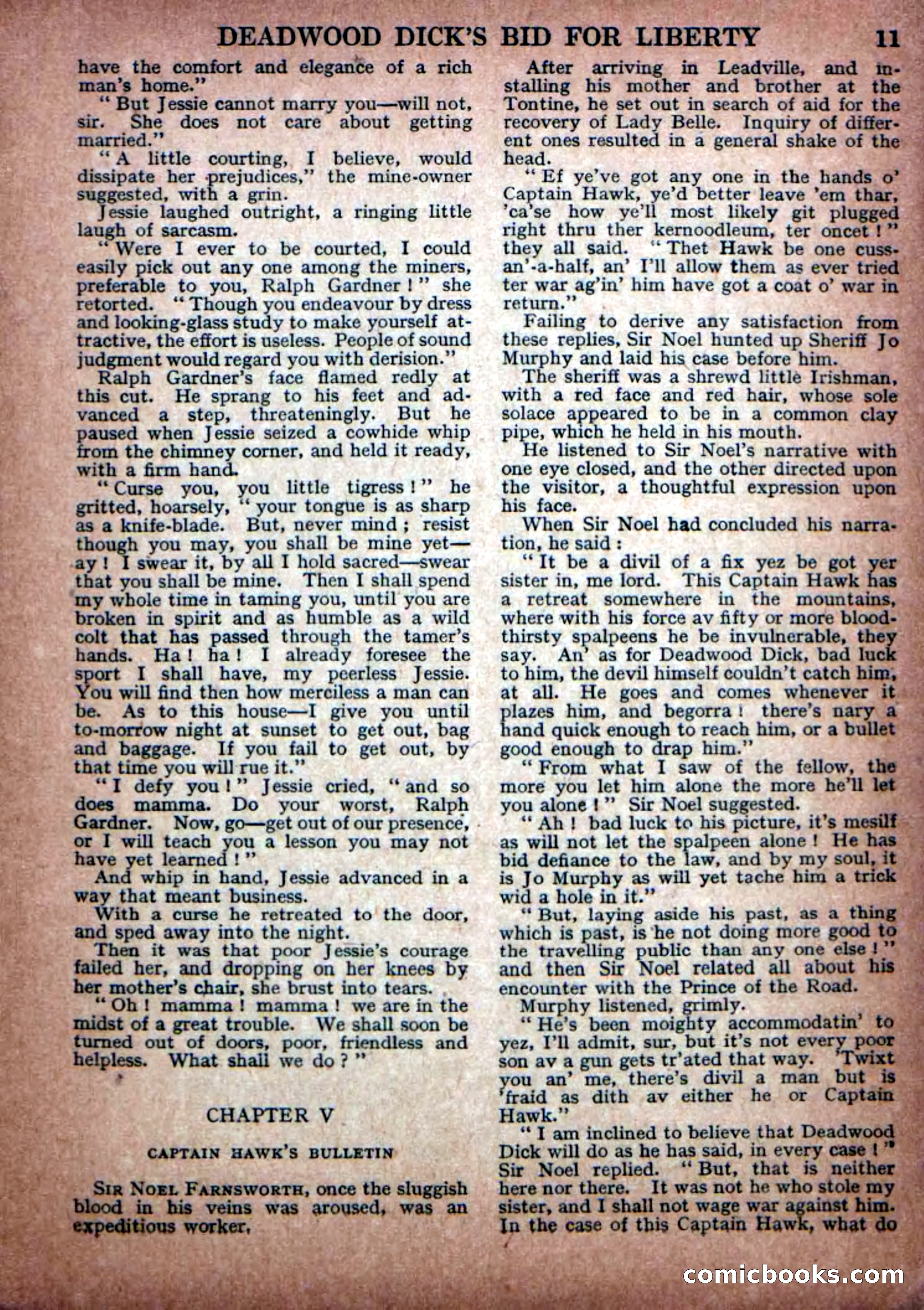 Deadwood Dick Library No. 23 — page 13 of 36