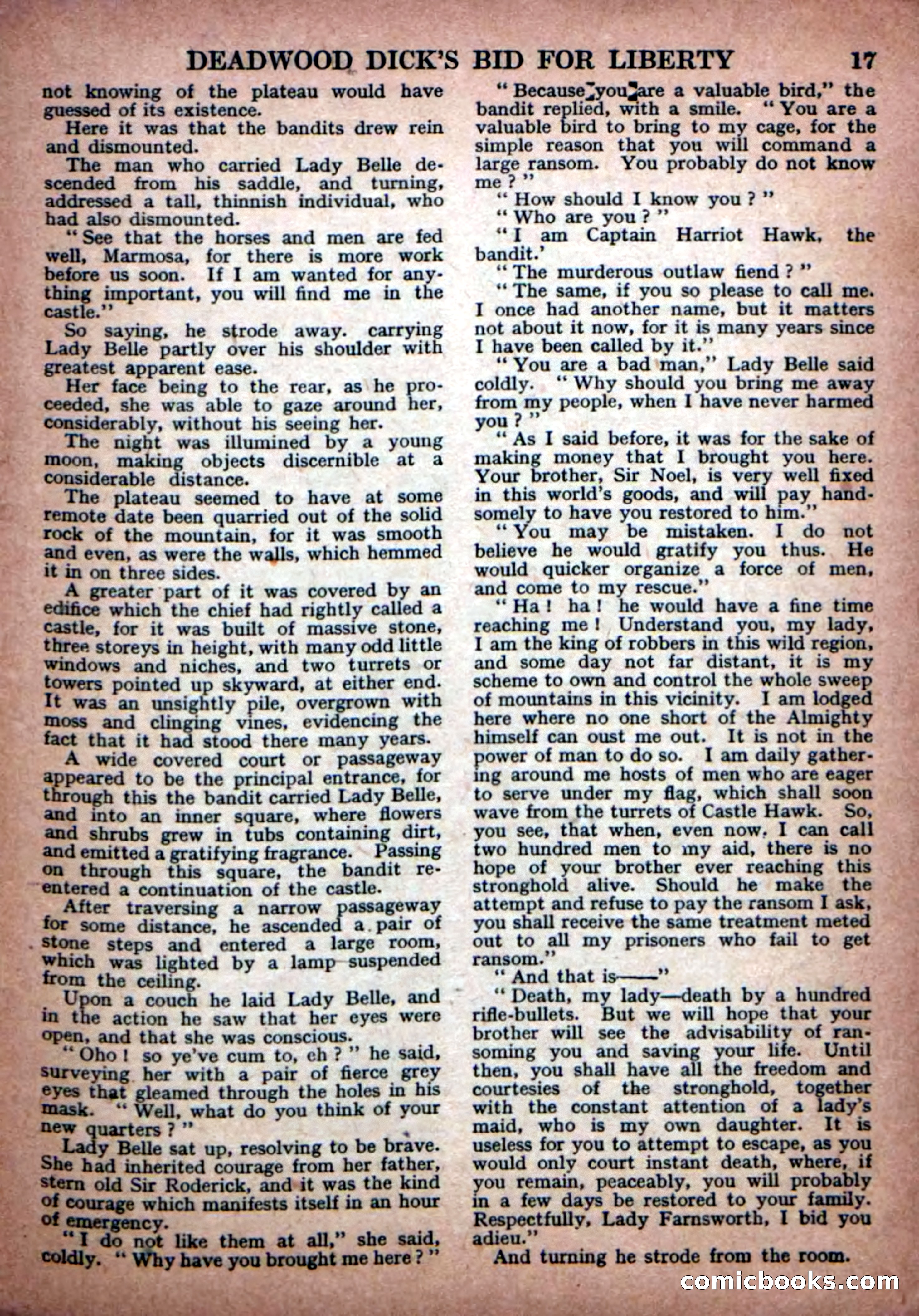 Deadwood Dick Library No. 23 — page 19 of 36