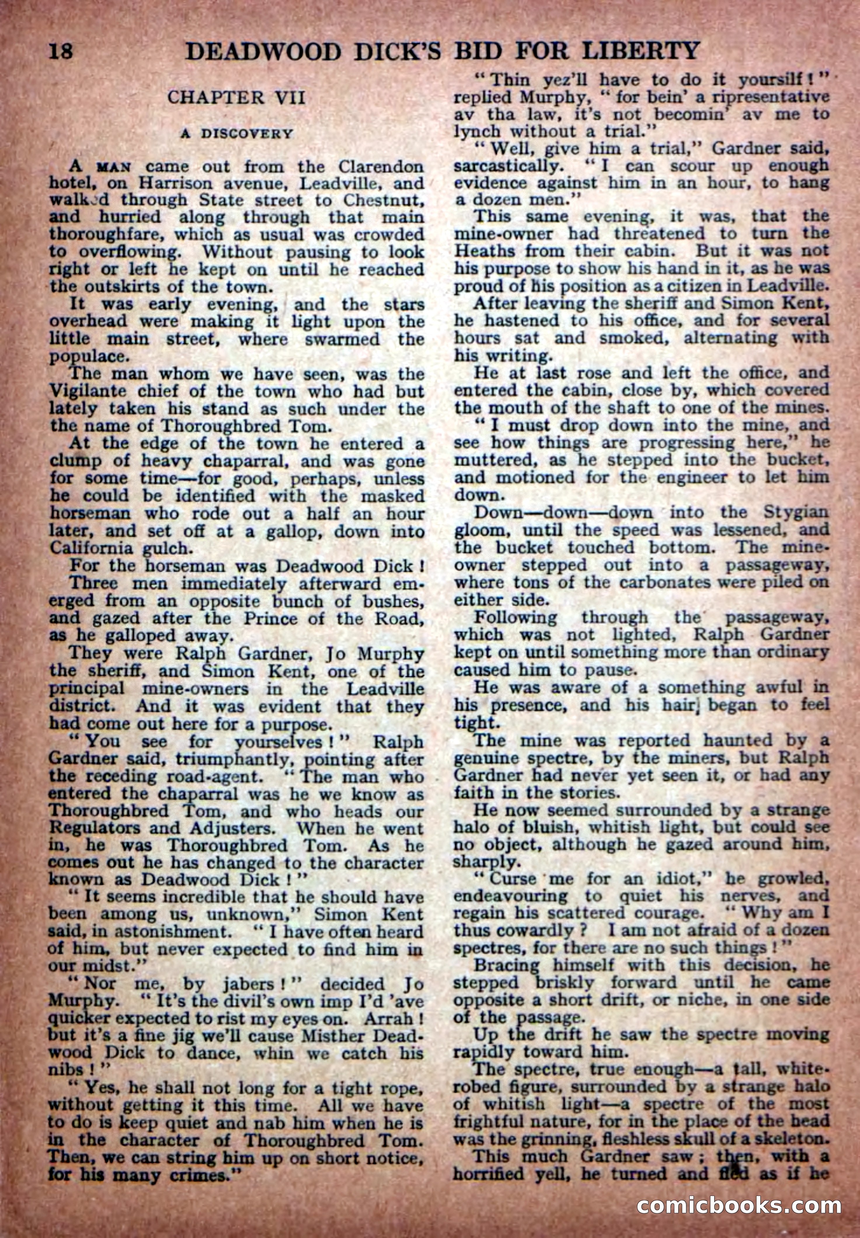 Deadwood Dick Library No. 23 — page 20 of 36