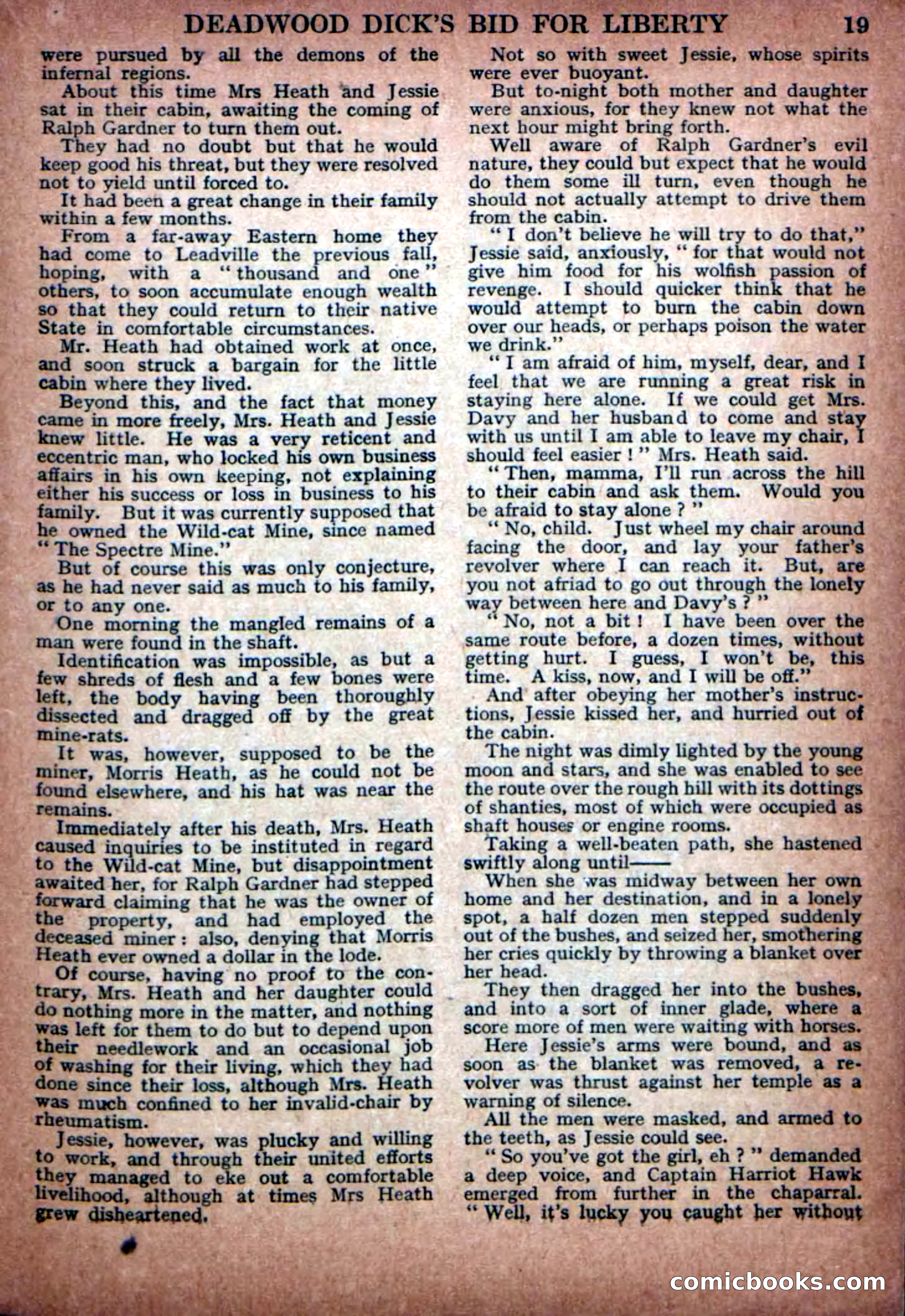 Deadwood Dick Library No. 23 — page 21 of 36