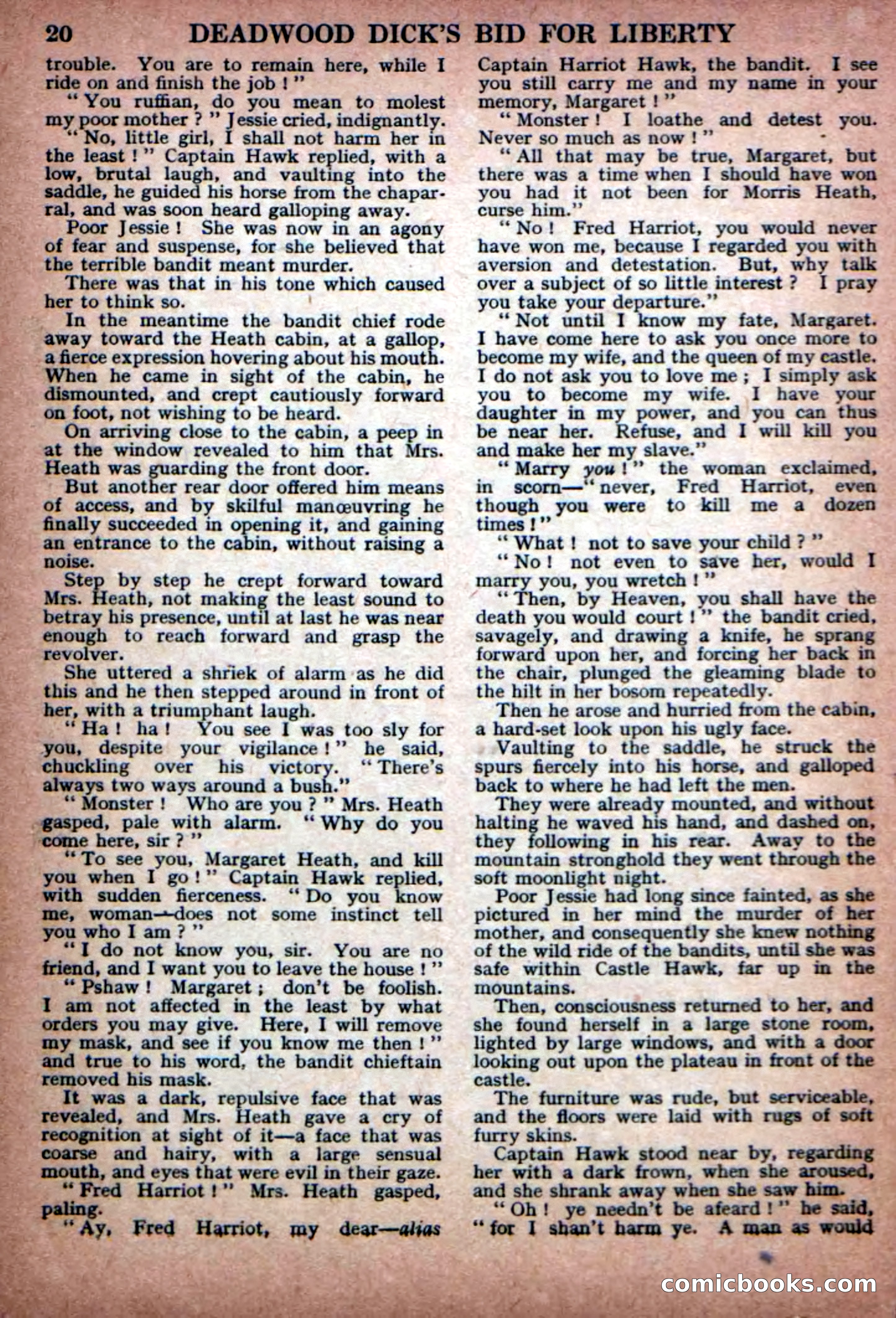 Deadwood Dick Library No. 23 — page 22 of 36