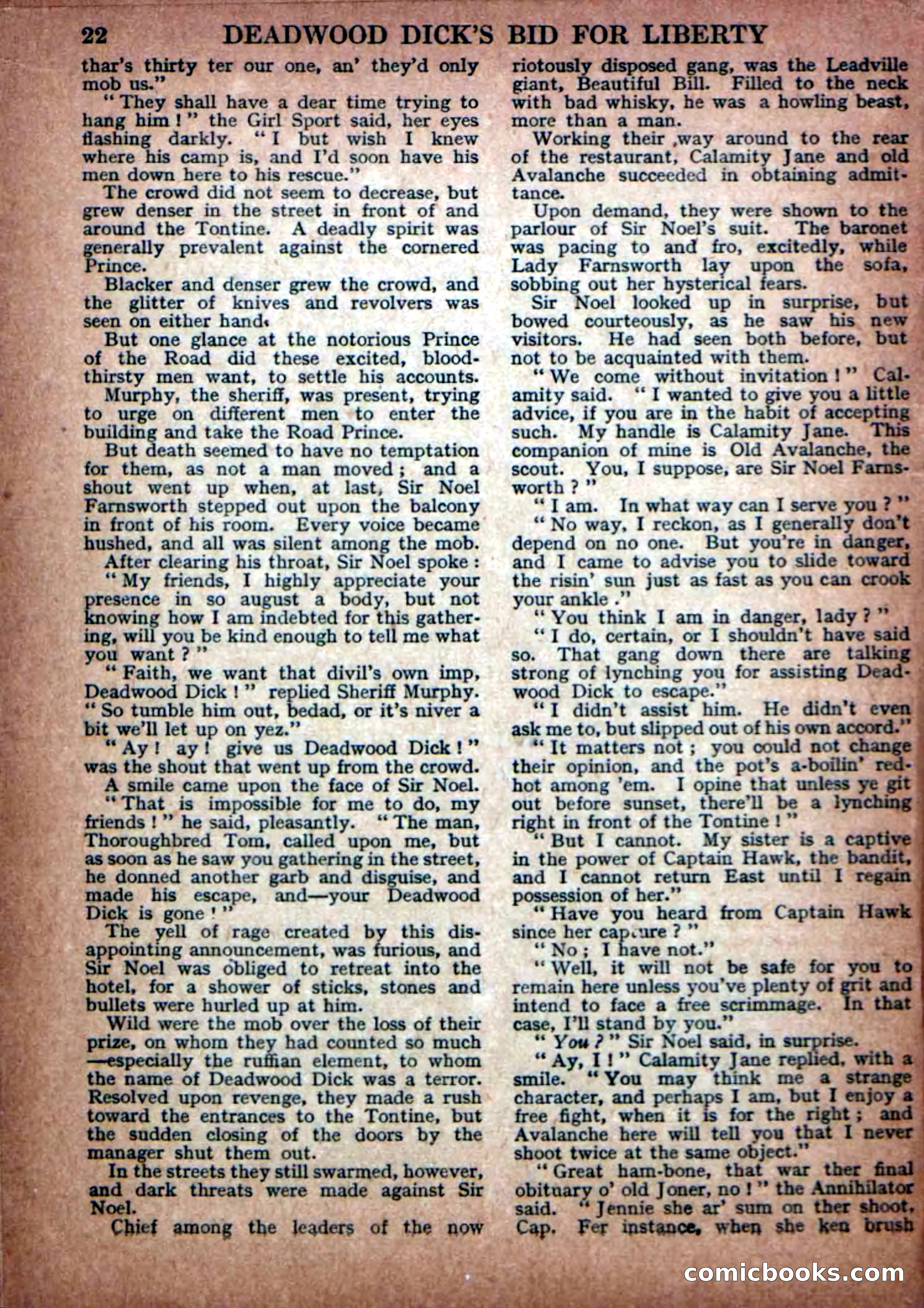 Deadwood Dick Library No. 23 — page 24 of 36