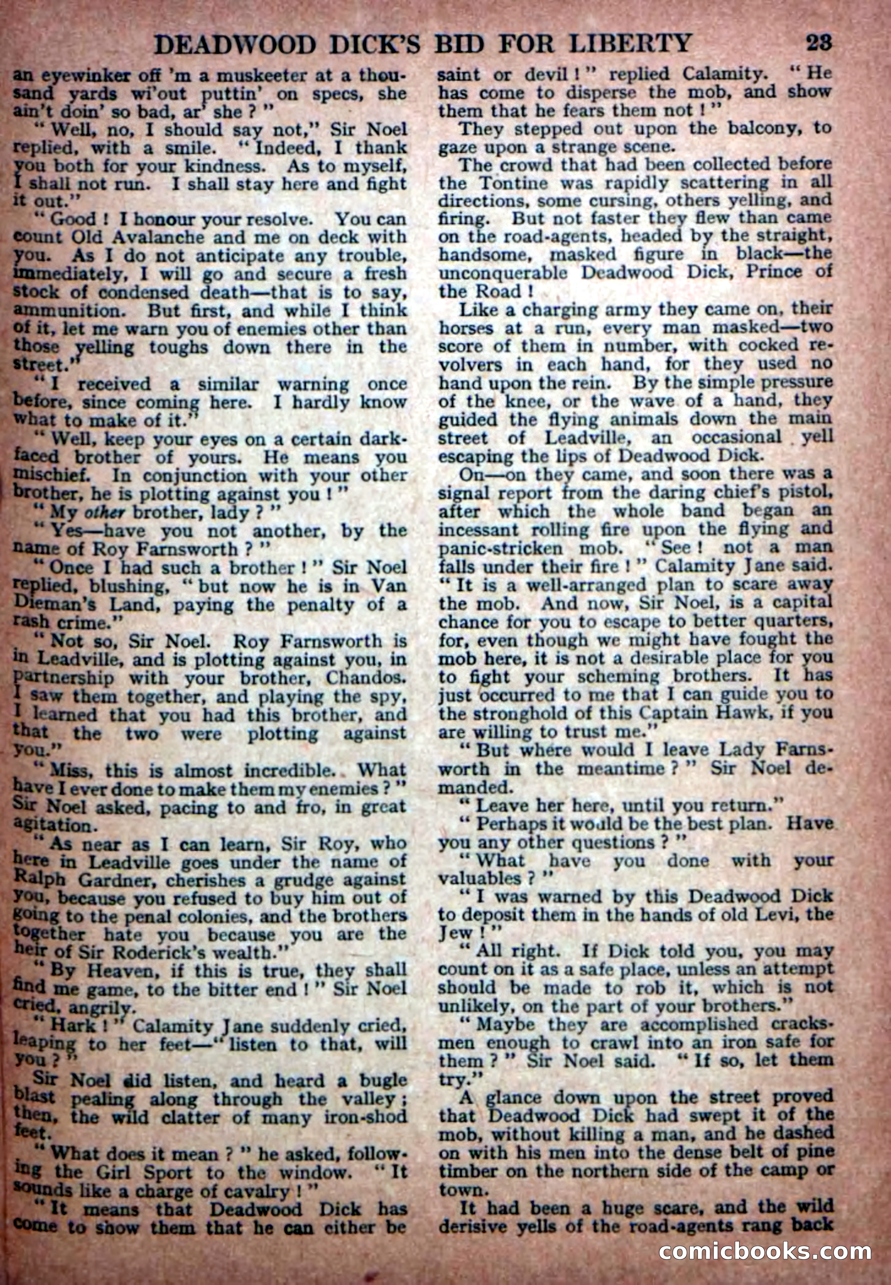 Deadwood Dick Library No. 23 — page 25 of 36