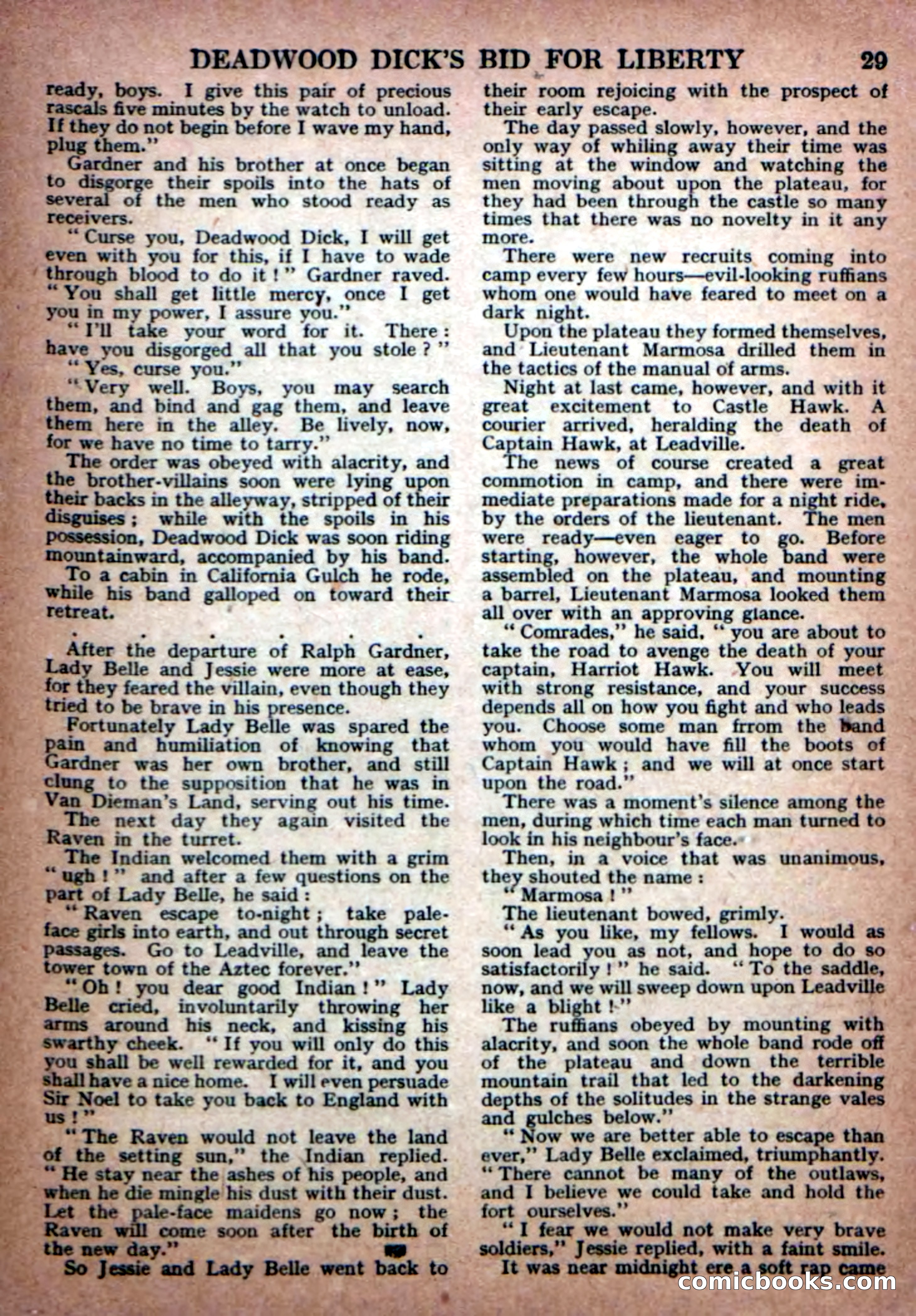 Deadwood Dick Library No. 23 — page 31 of 36