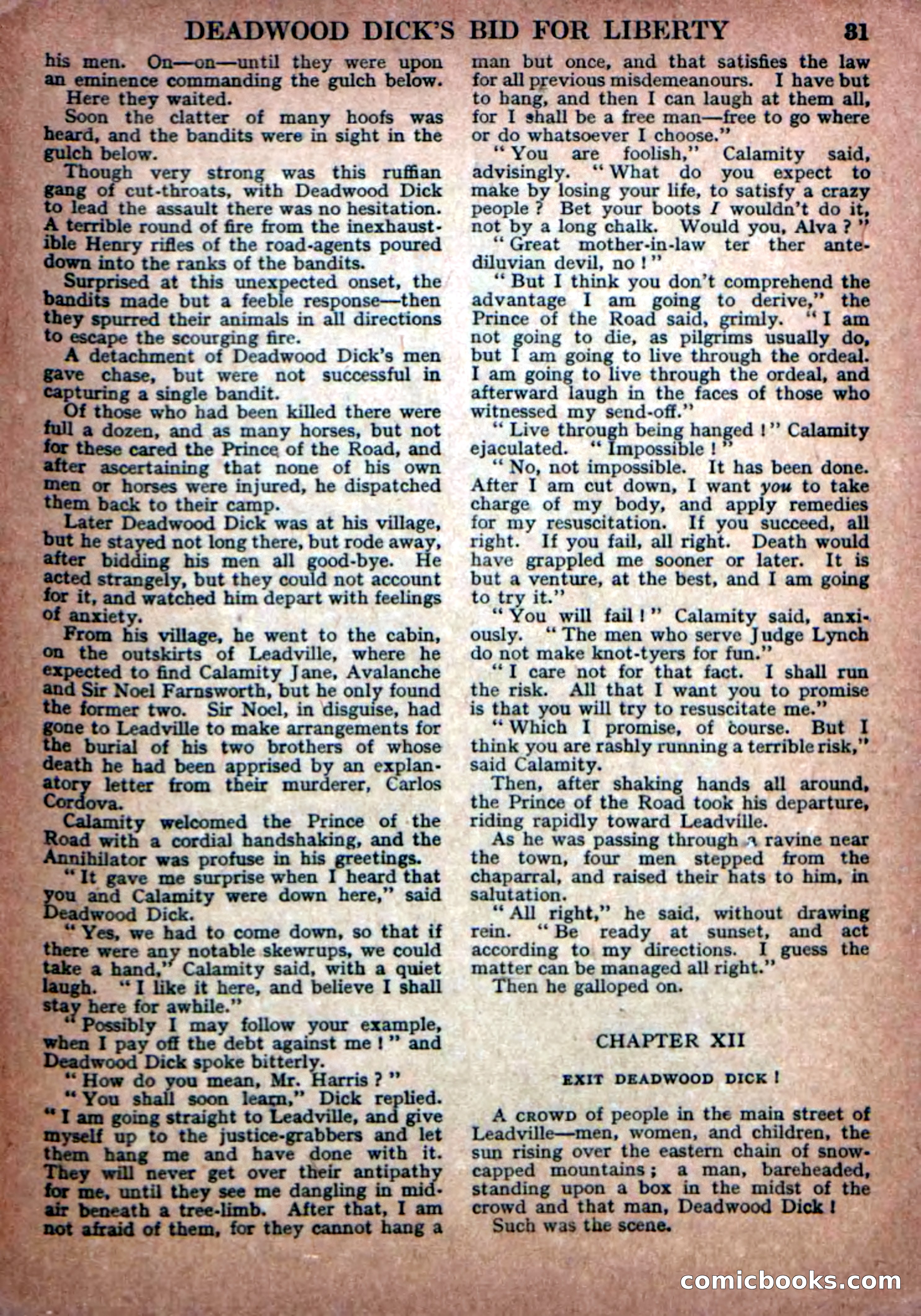 Deadwood Dick Library No. 23 — page 33 of 36