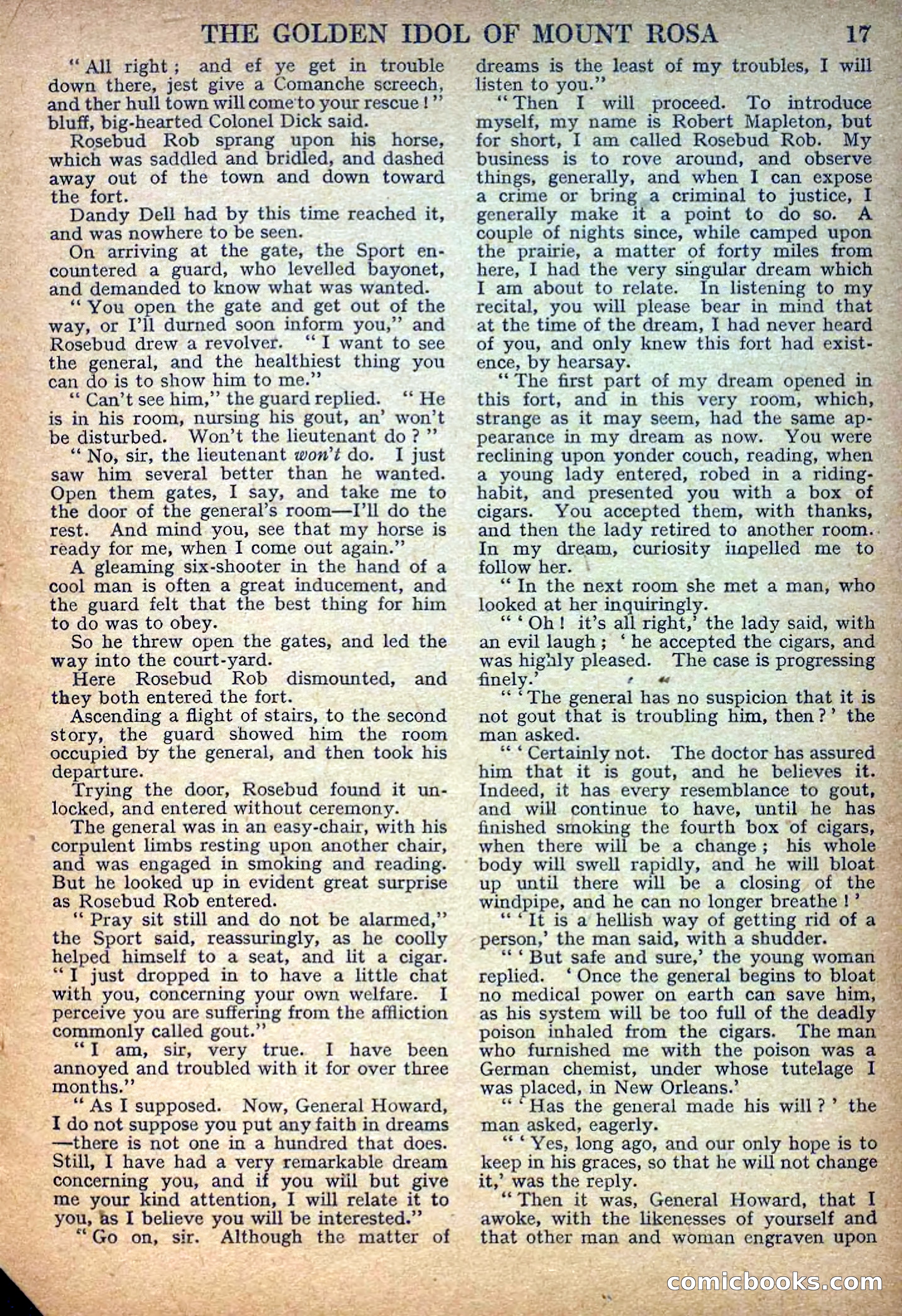 Deadwood Dick Library No. 27: The Golden Idol of Mount Rosa — page 19 of 36