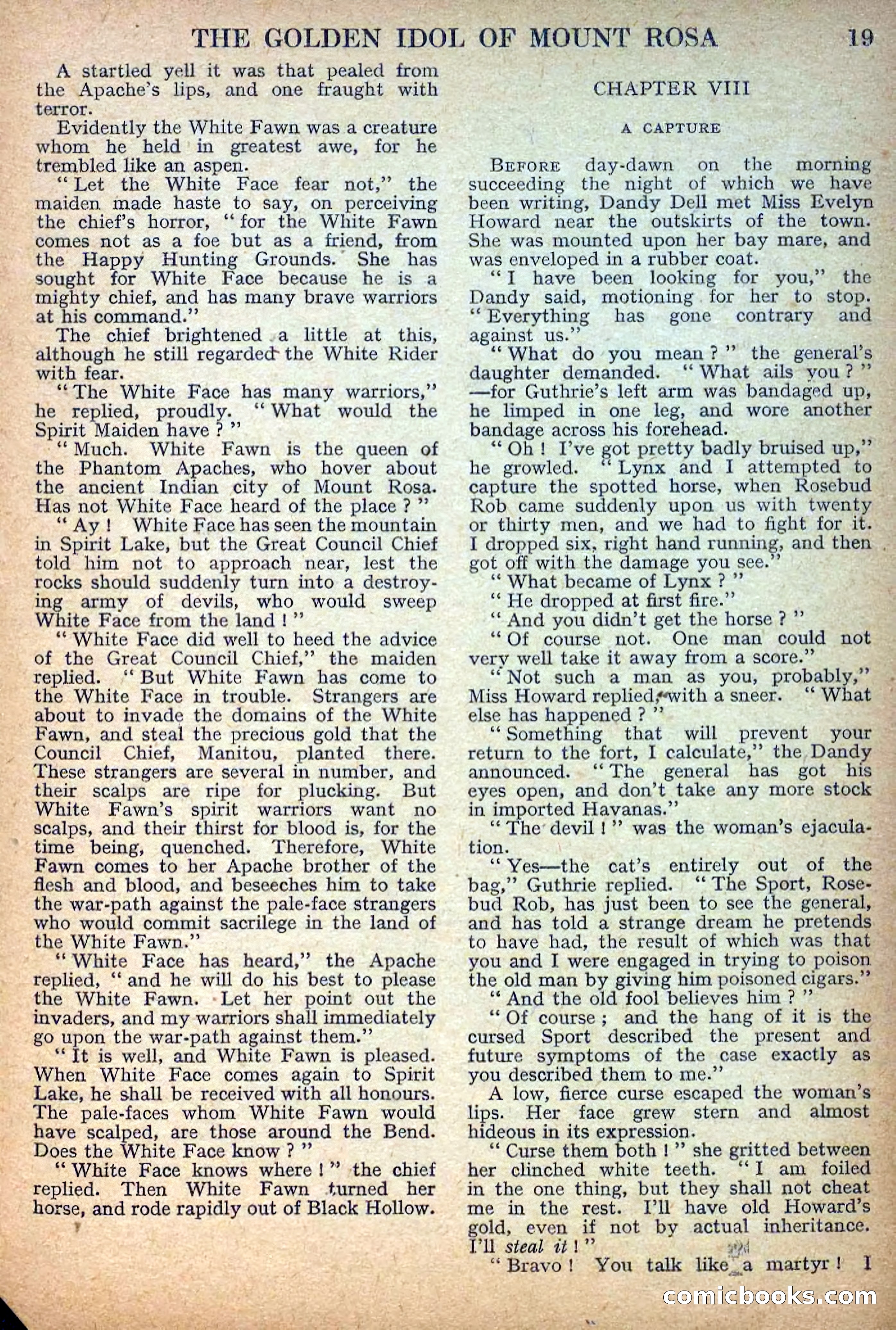 Deadwood Dick Library No. 27: The Golden Idol of Mount Rosa — page 21 of 36