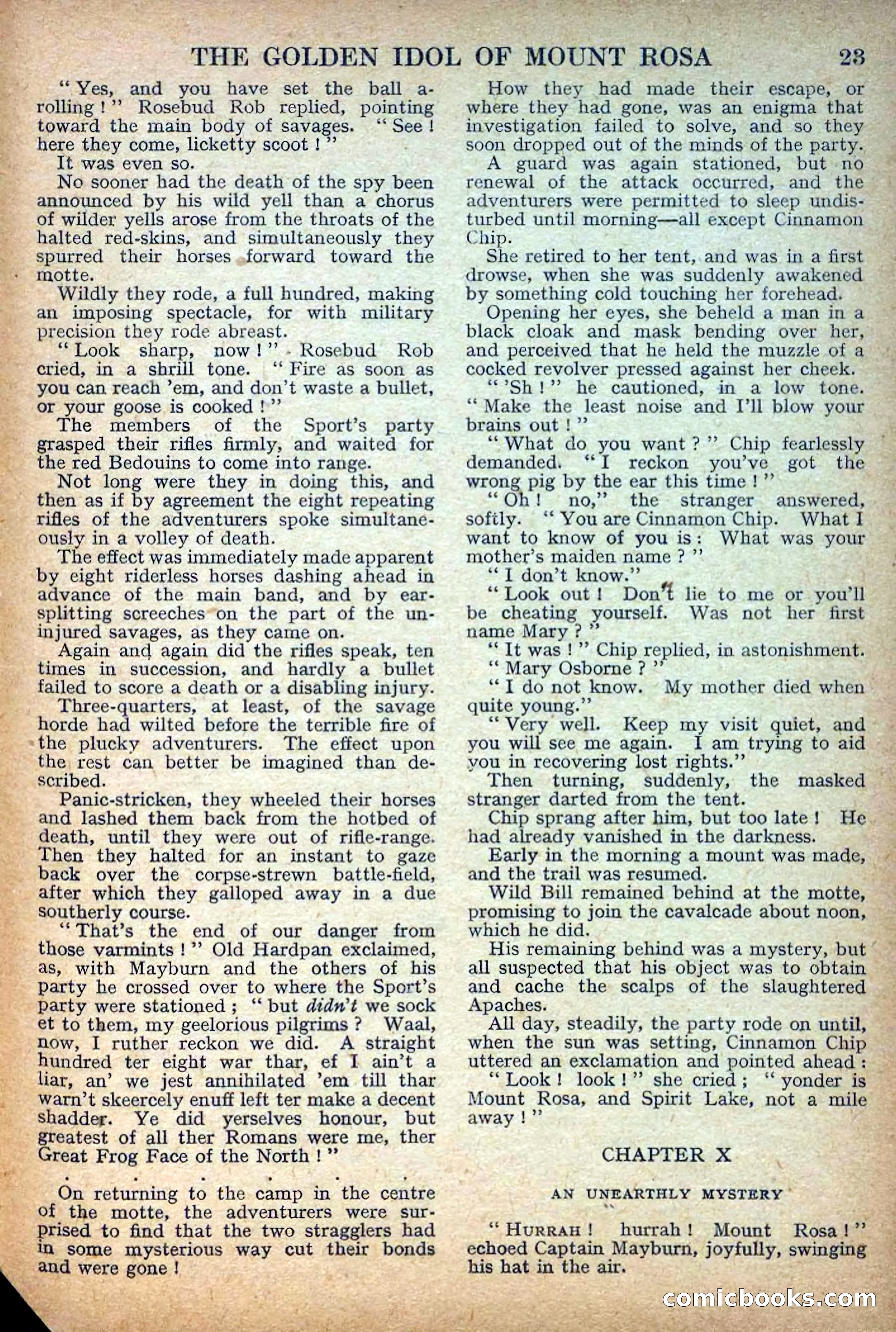 Deadwood Dick Library No. 27: The Golden Idol of Mount Rosa — page 25 of 36