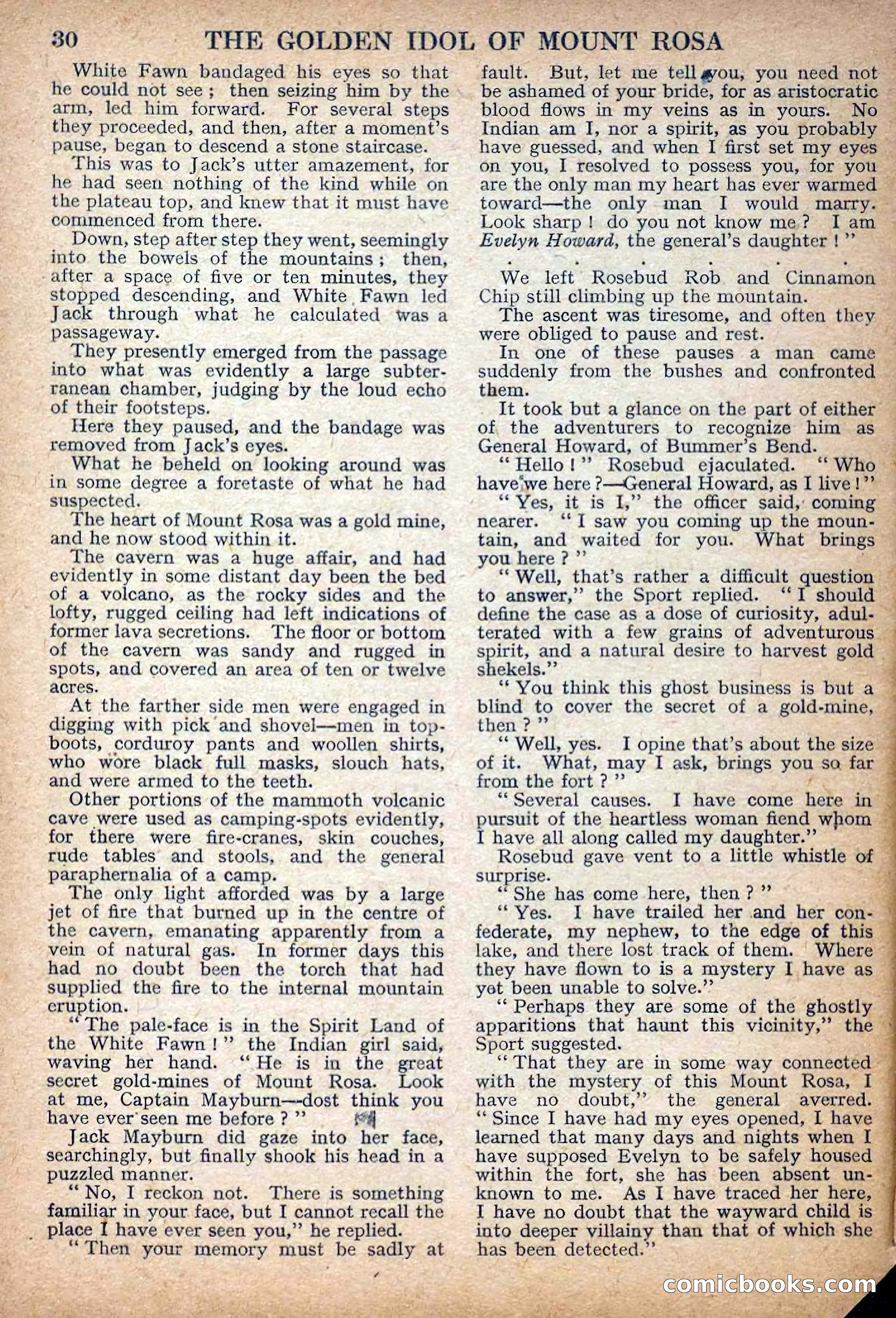 Deadwood Dick Library No. 27: The Golden Idol of Mount Rosa — page 32 of 36