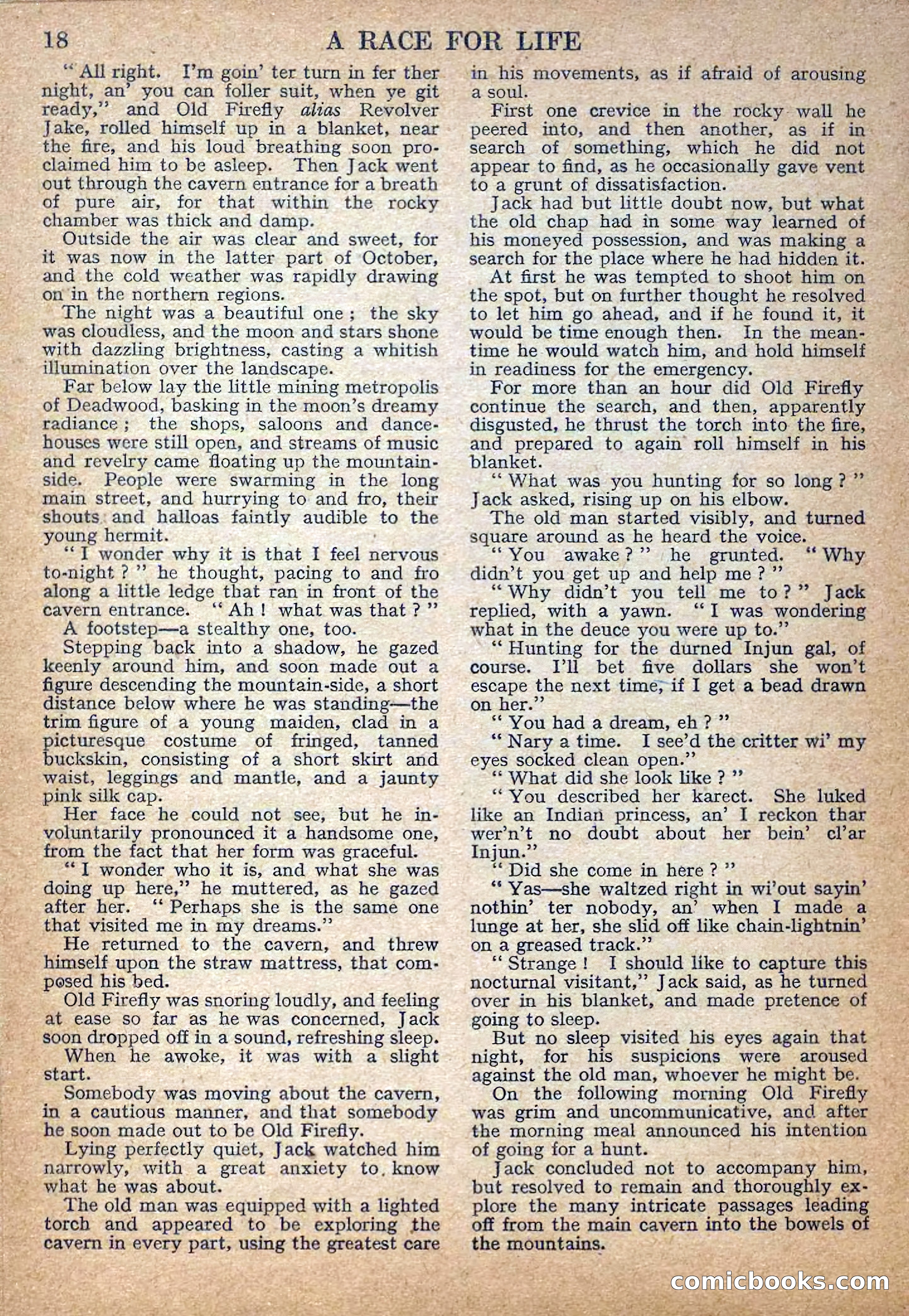 Deadwood Dick Library No. 28 — page 20 of 36
