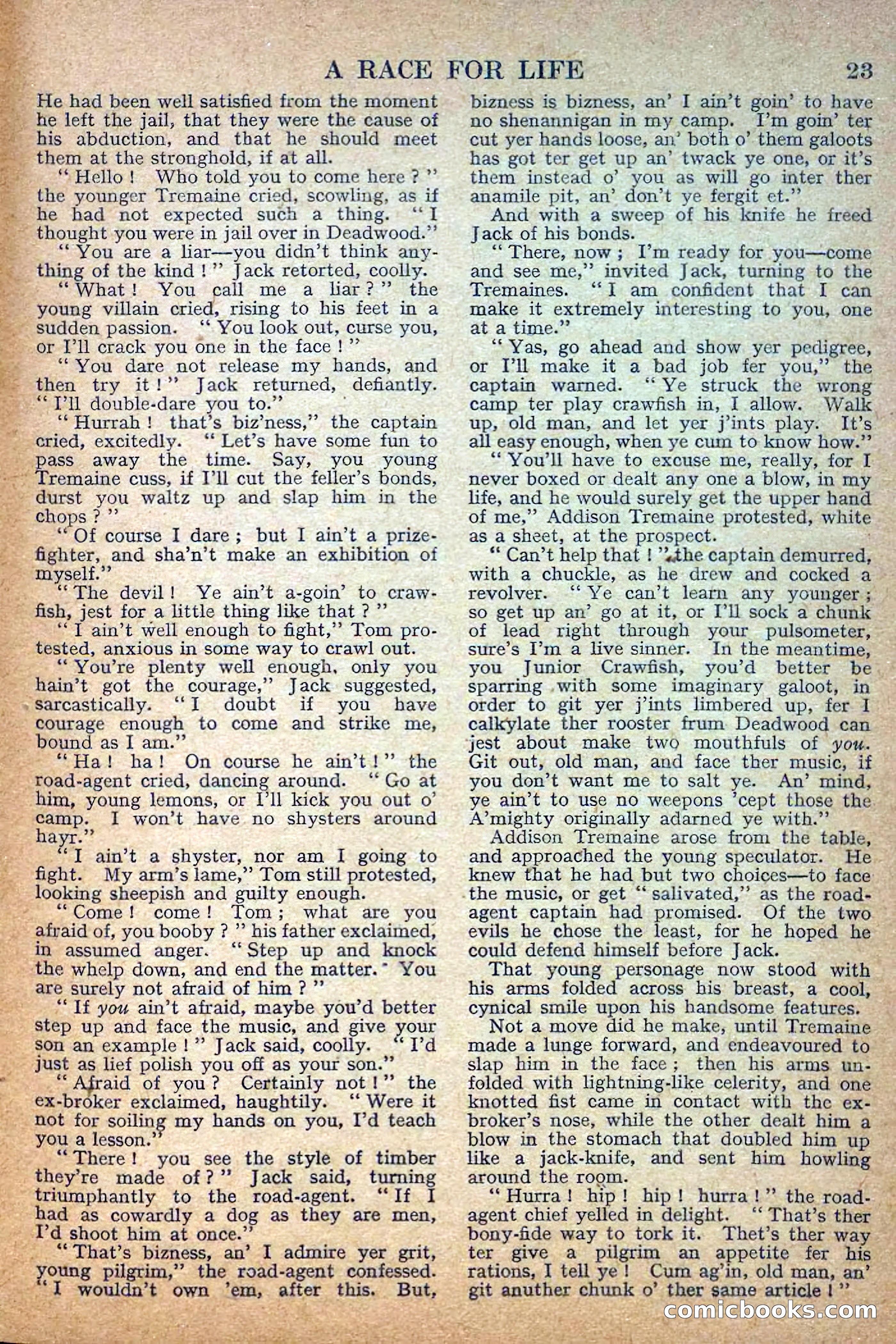 Deadwood Dick Library No. 28 — page 25 of 36