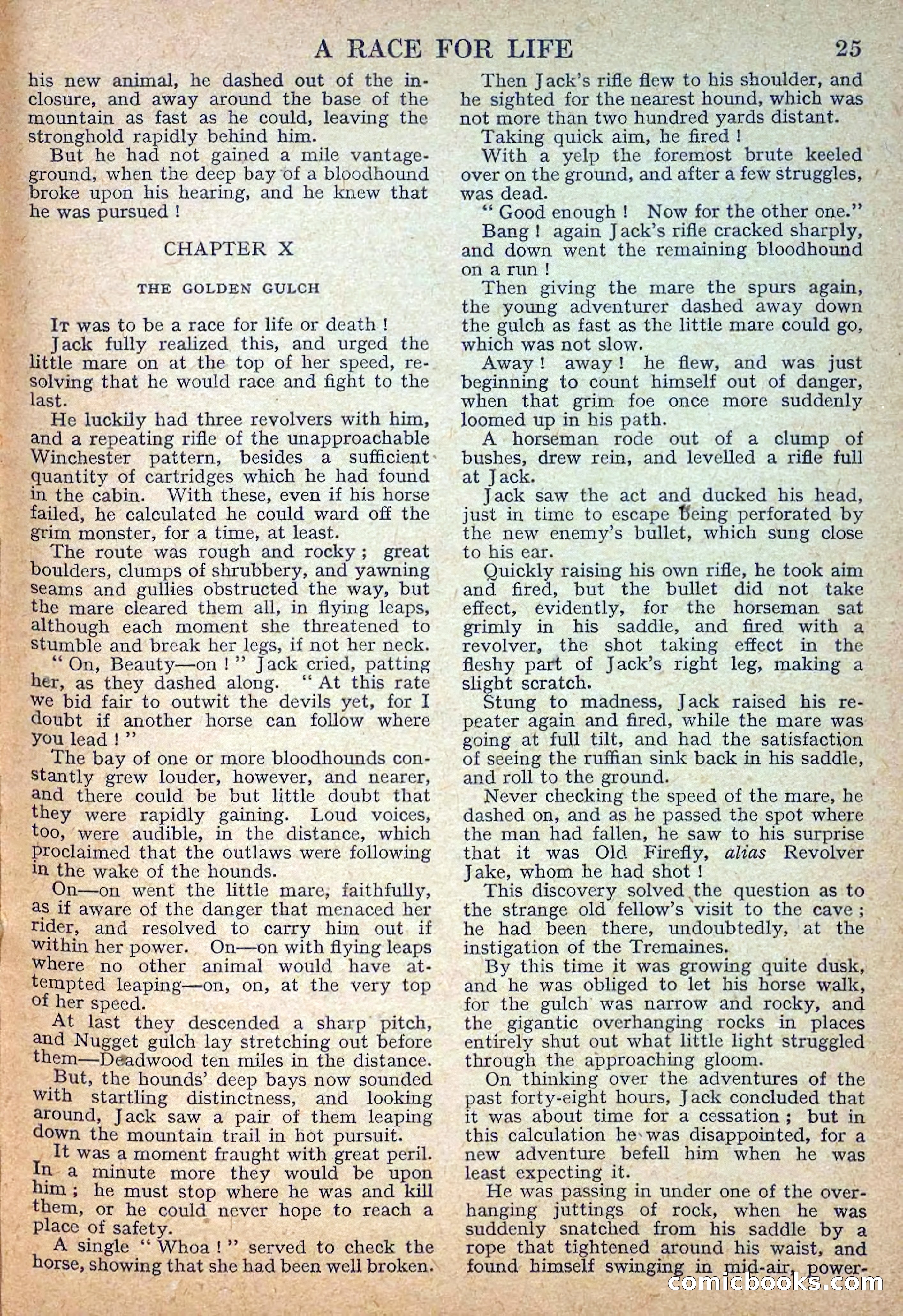 Deadwood Dick Library No. 28 — page 27 of 36