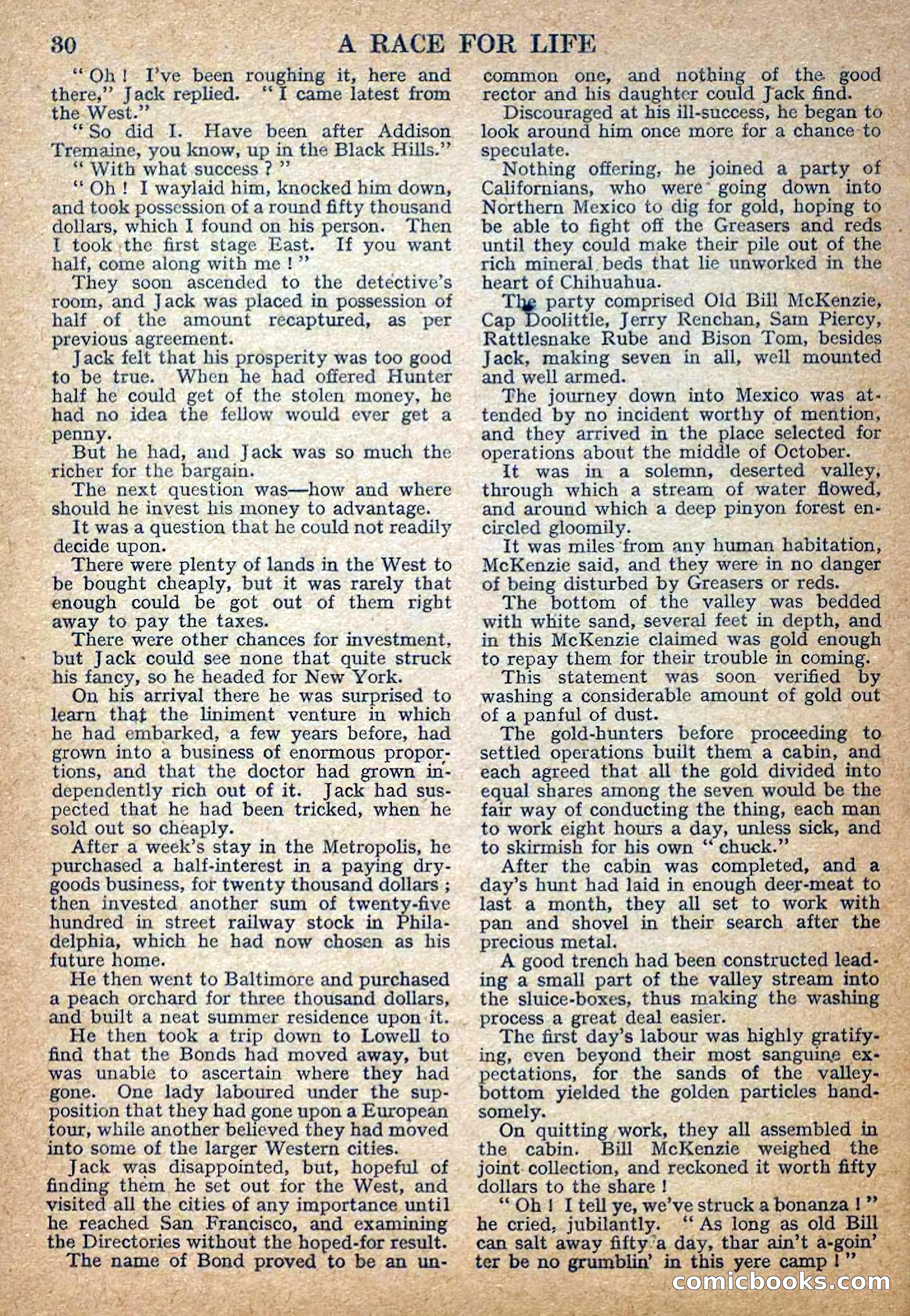 Deadwood Dick Library No. 28 — page 32 of 36