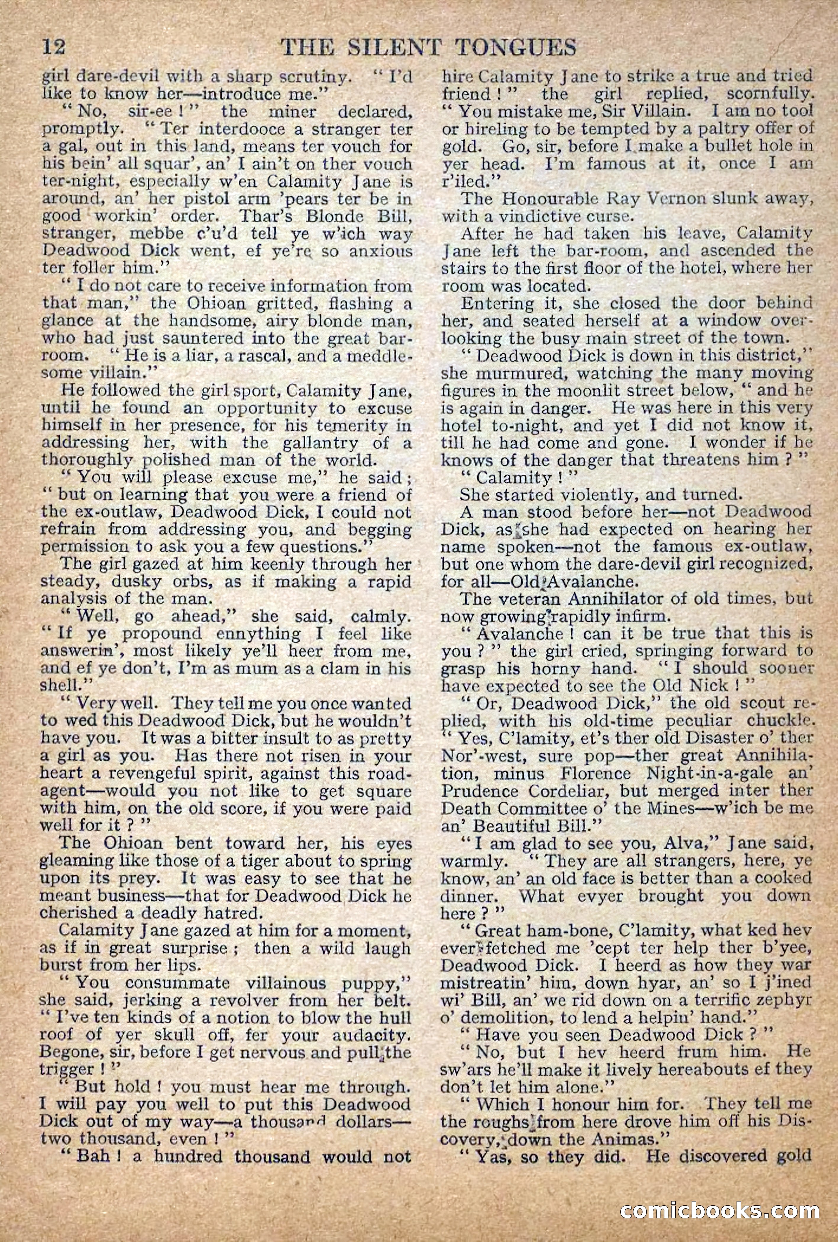 Deadwood Dick Library No. 29: The Silent Tongues — page 14 of 36