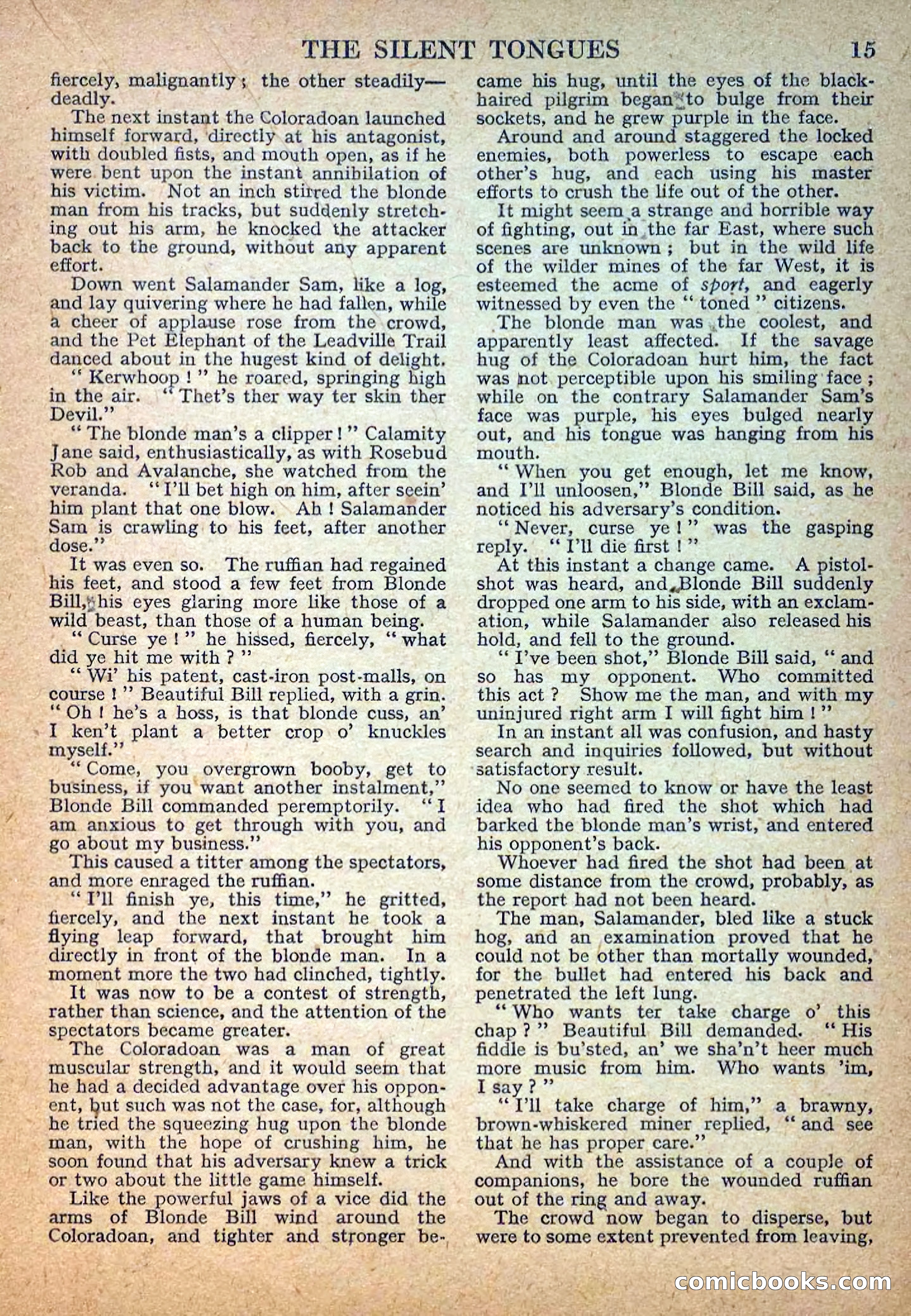 Deadwood Dick Library No. 29: The Silent Tongues — page 17 of 36