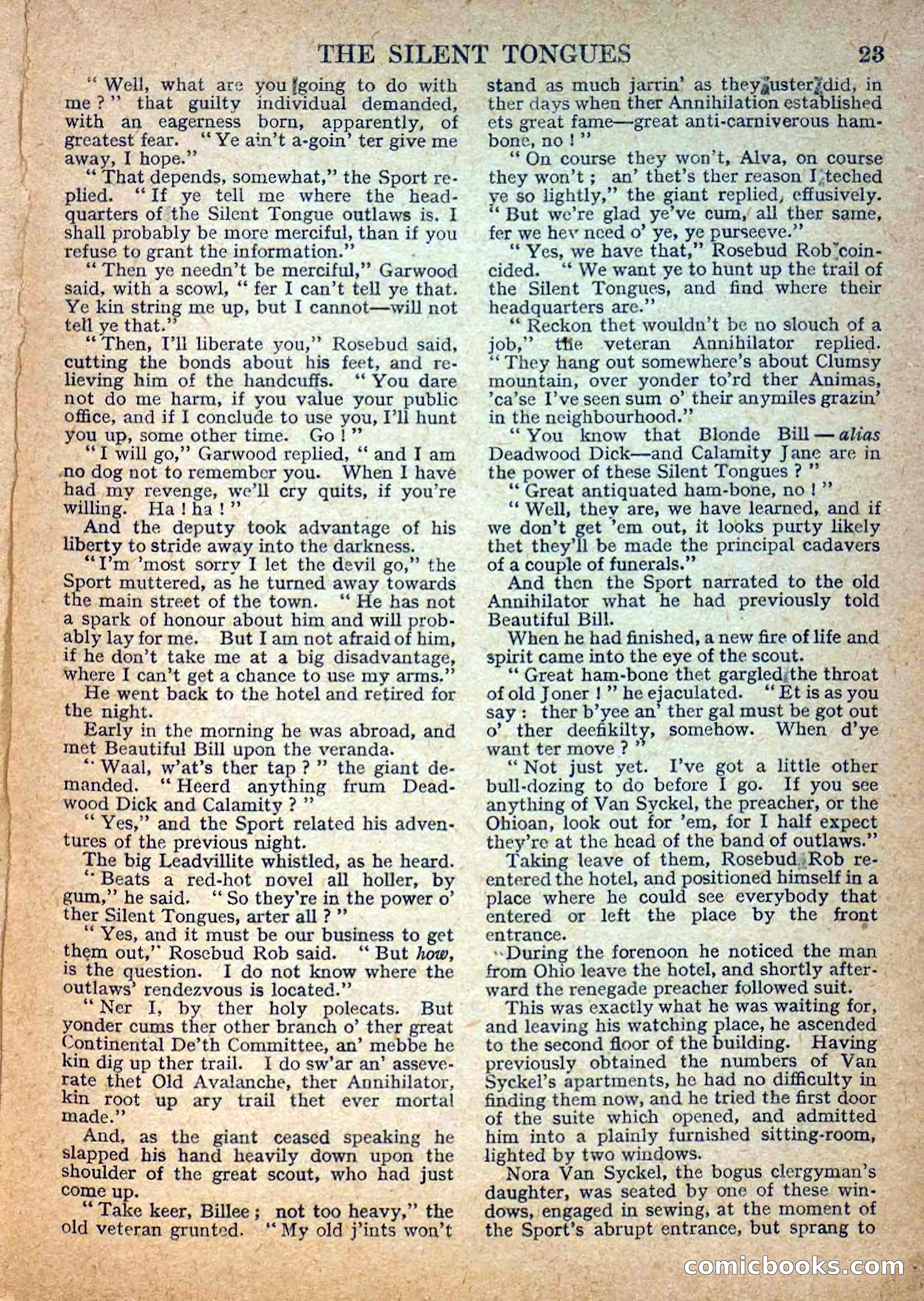 Deadwood Dick Library No. 29: The Silent Tongues — page 25 of 36