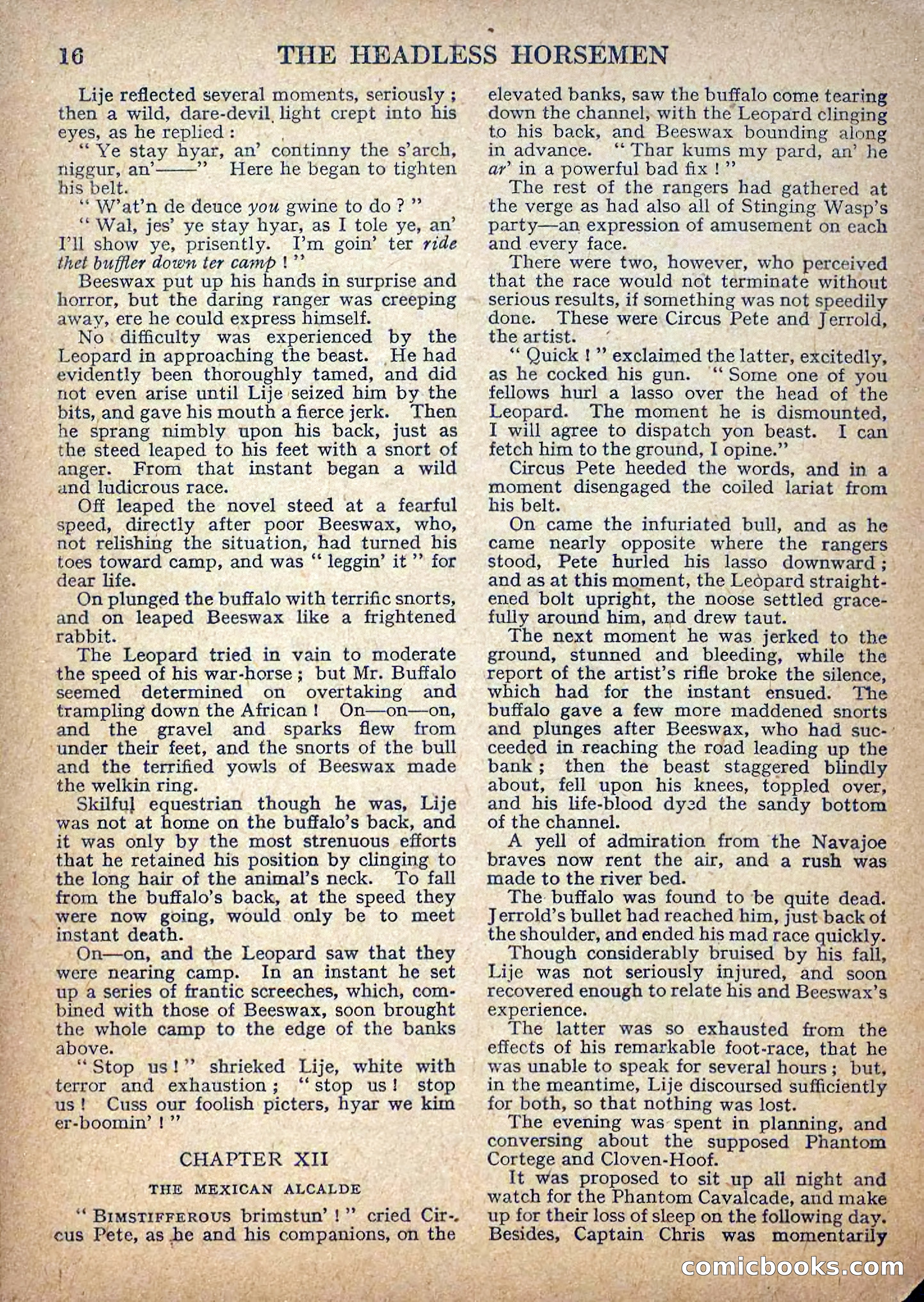 Deadwood Dick Library No. 3 — page 18 of 36