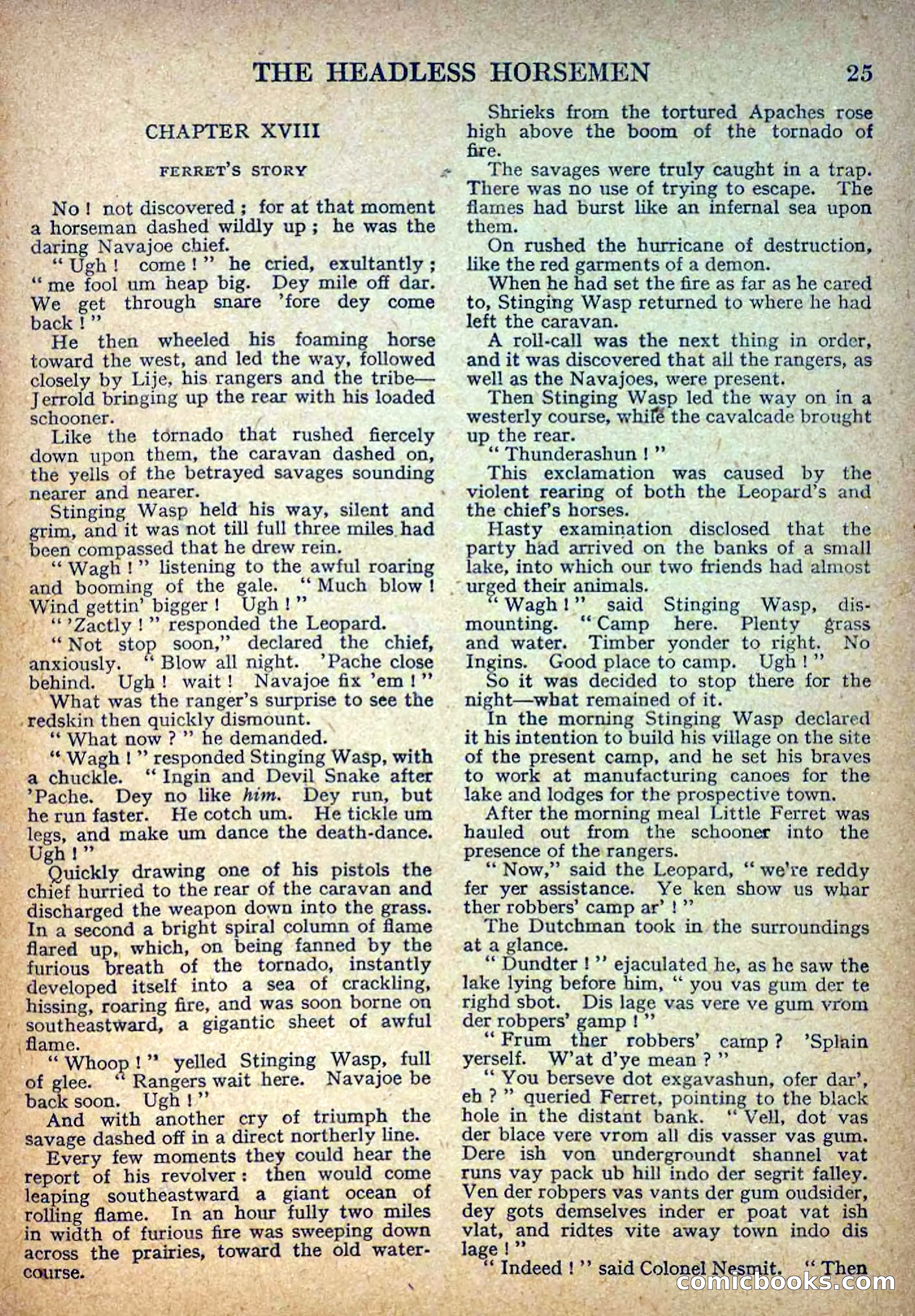 Deadwood Dick Library No. 3 — page 27 of 36