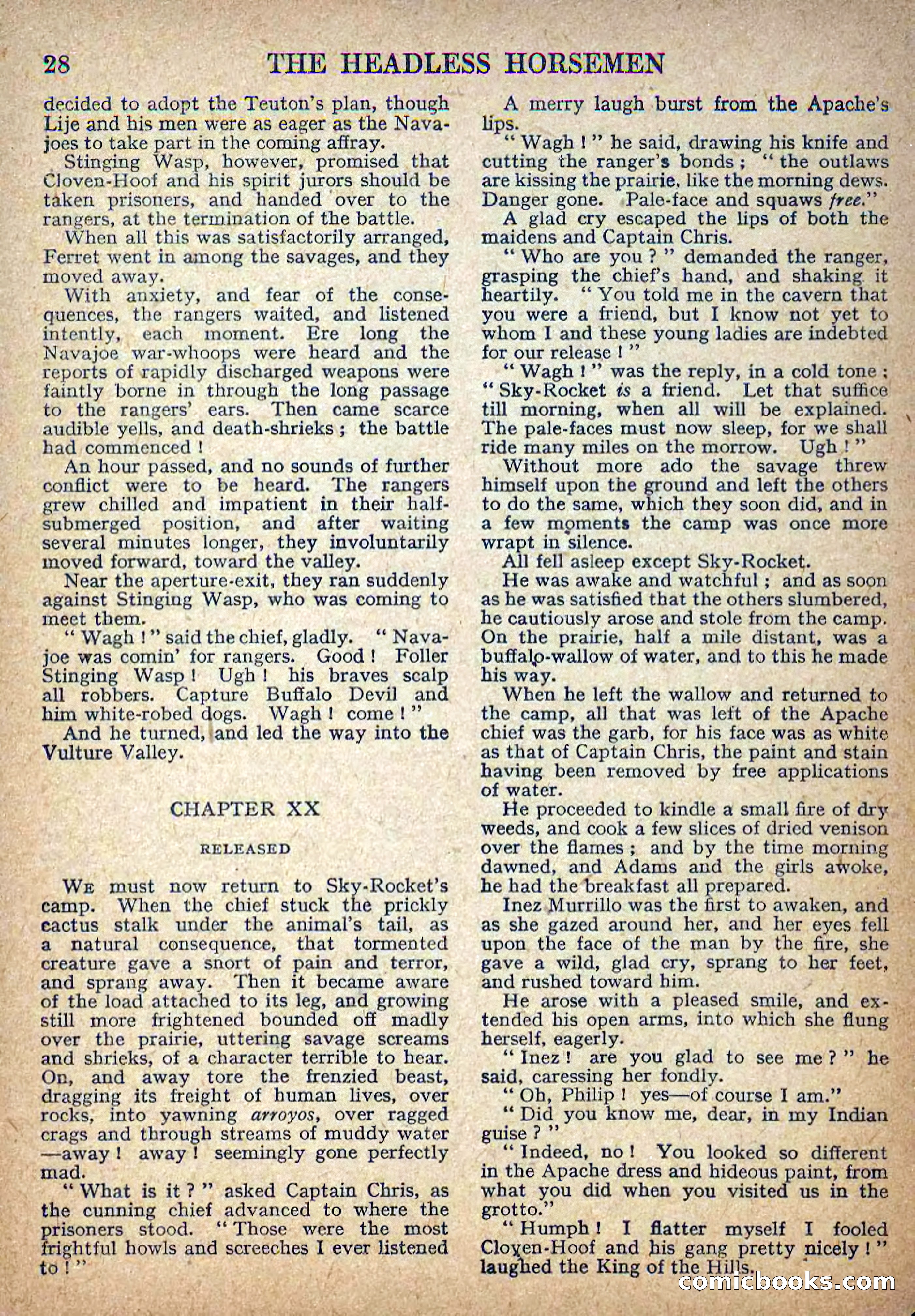 Deadwood Dick Library No. 3 — page 30 of 36