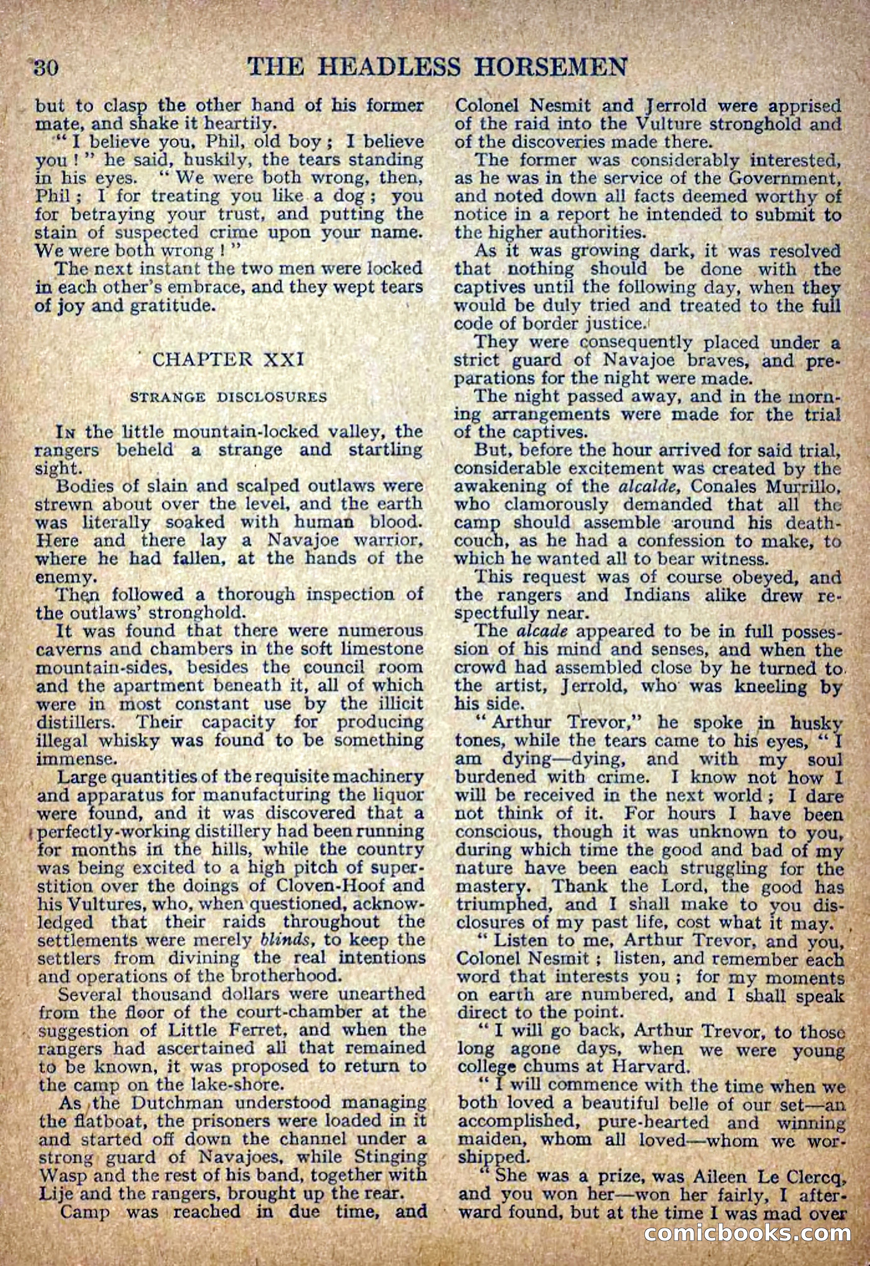 Deadwood Dick Library No. 3 — page 32 of 36