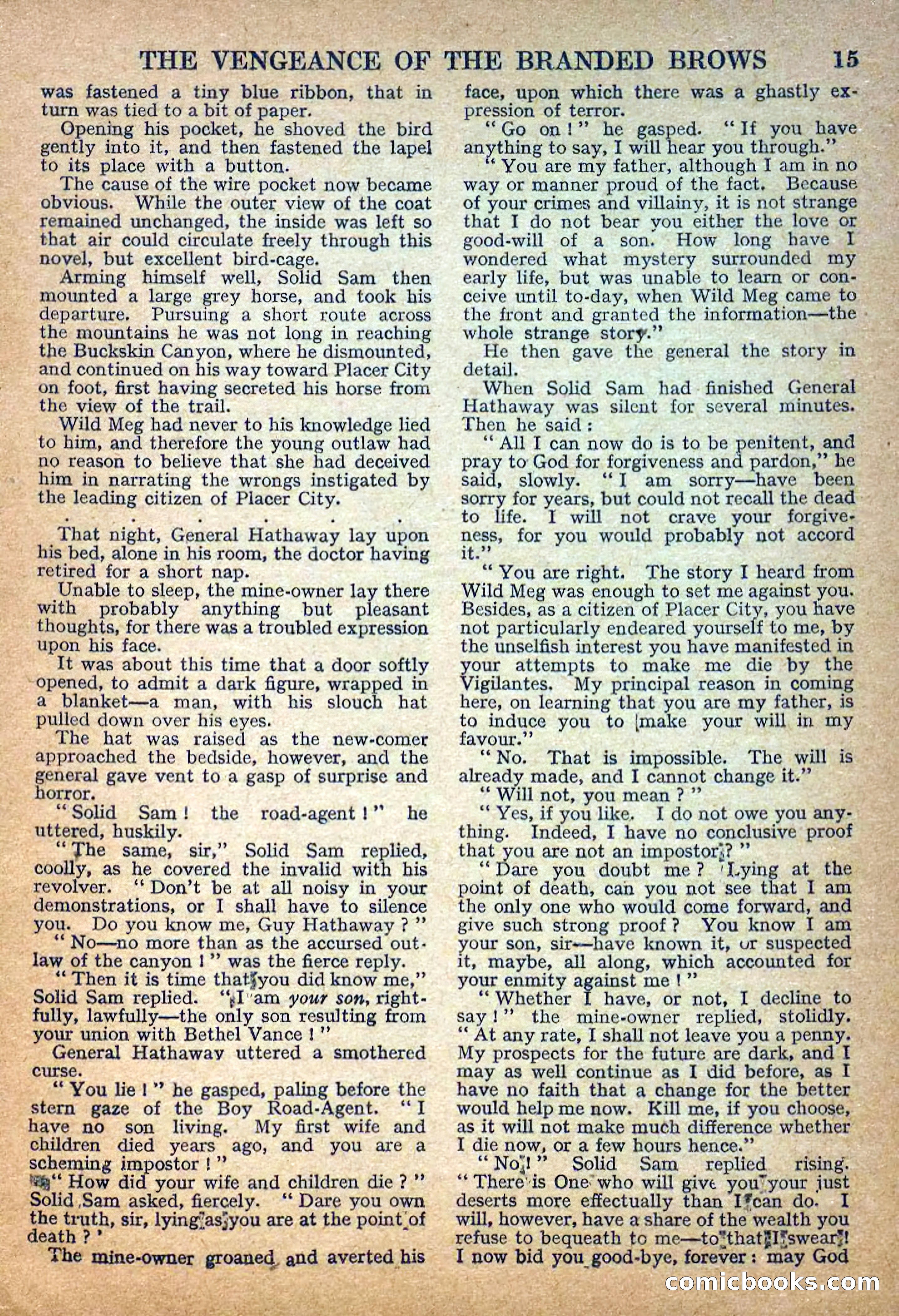 Deadwood Dick Library No. 31 — page 17 of 36