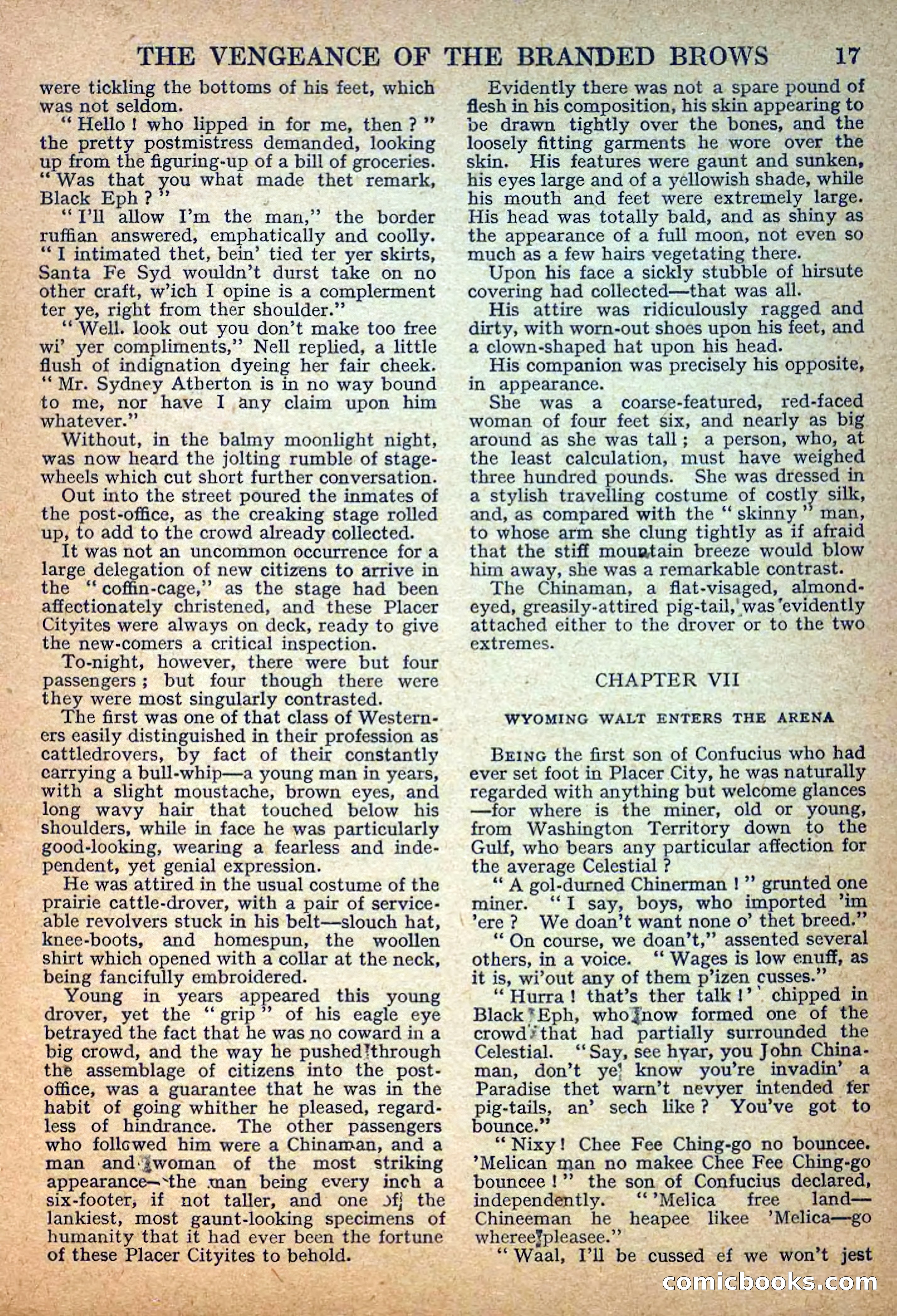 Deadwood Dick Library No. 31 — page 19 of 36