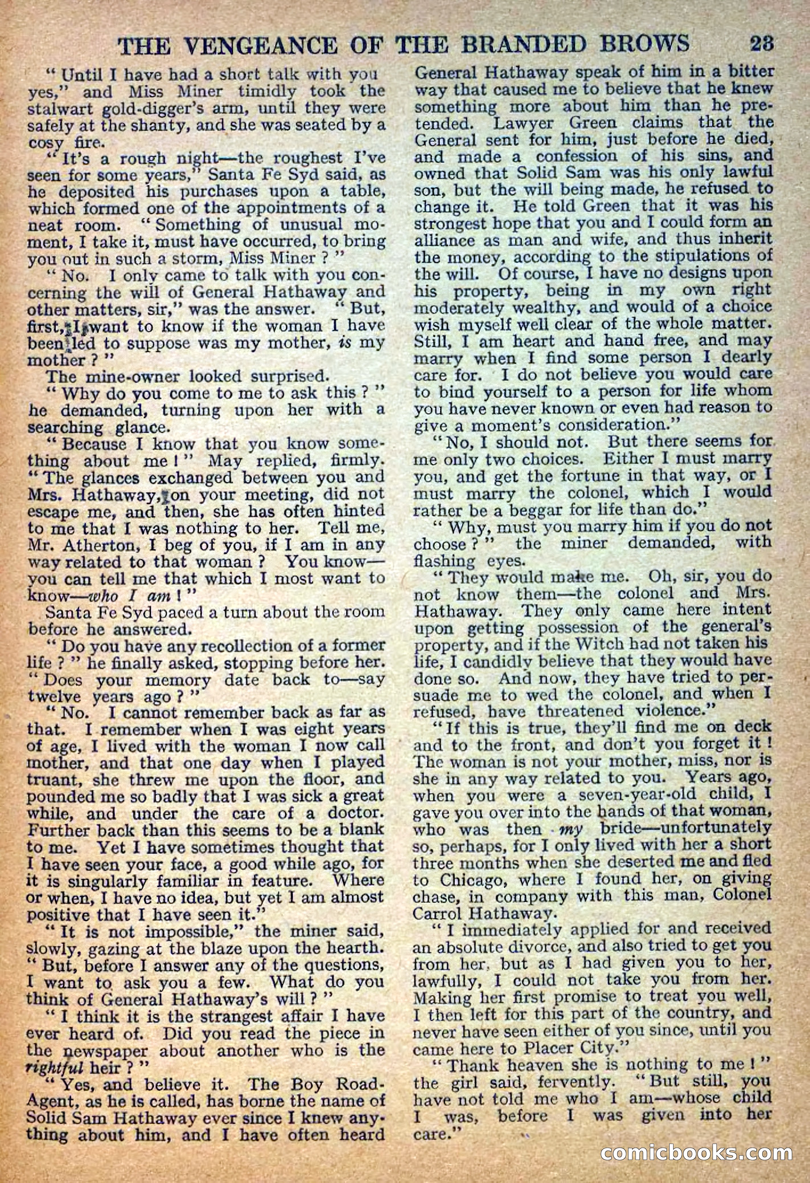 Deadwood Dick Library No. 31 — page 25 of 36