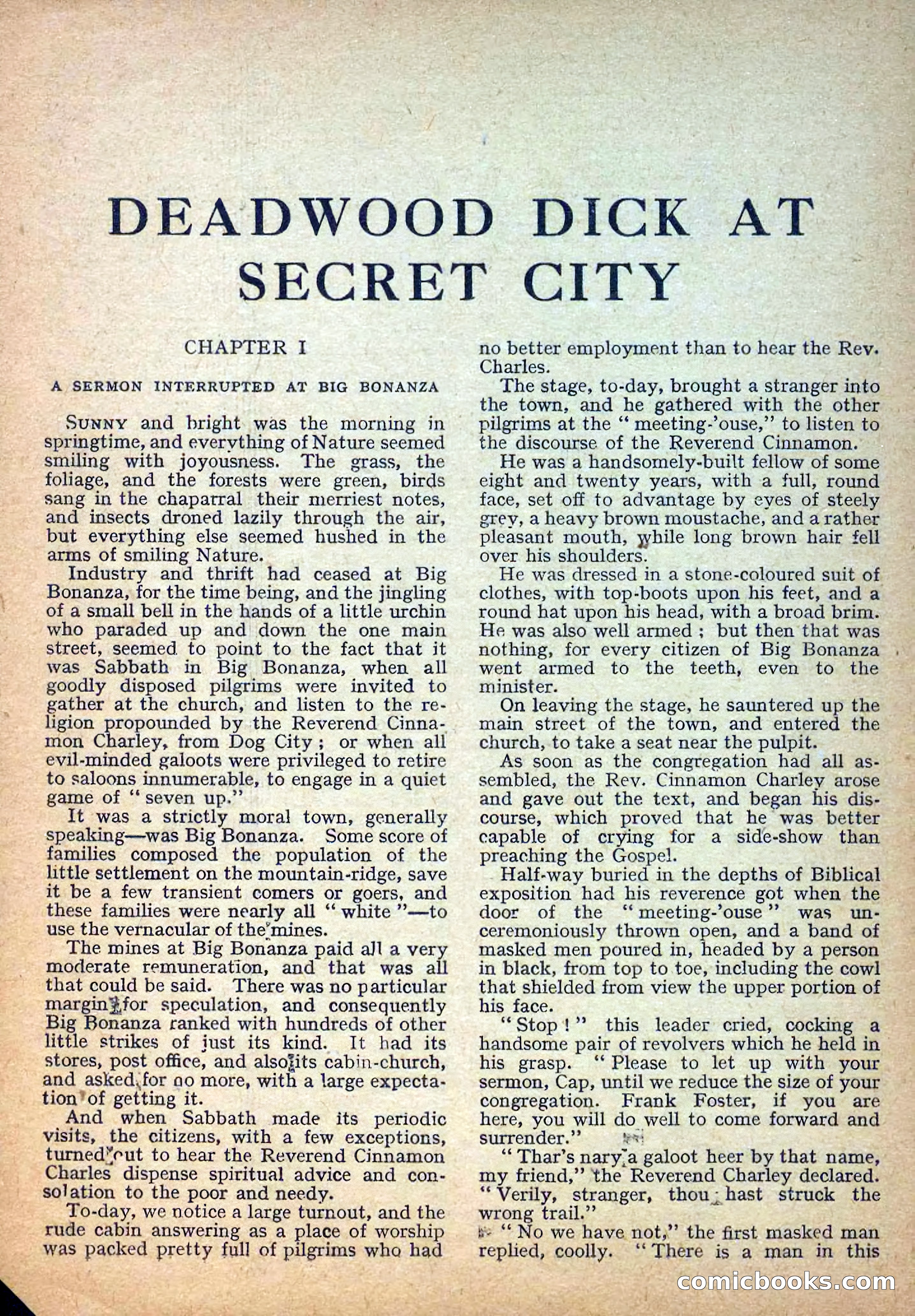 Deadwood Dick Library No. 32 — page 3 of 36