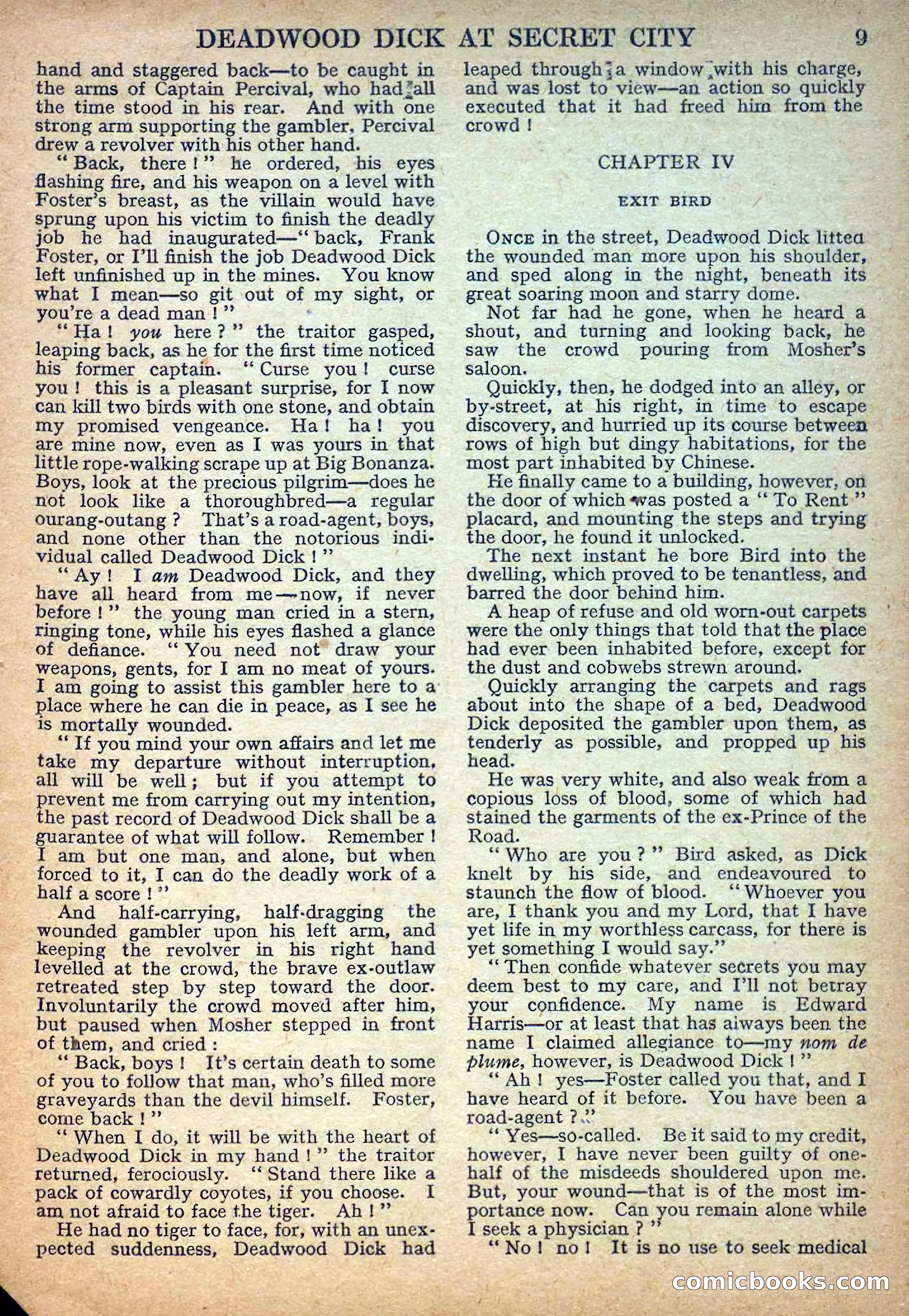 Deadwood Dick Library No. 32 — page 11 of 36