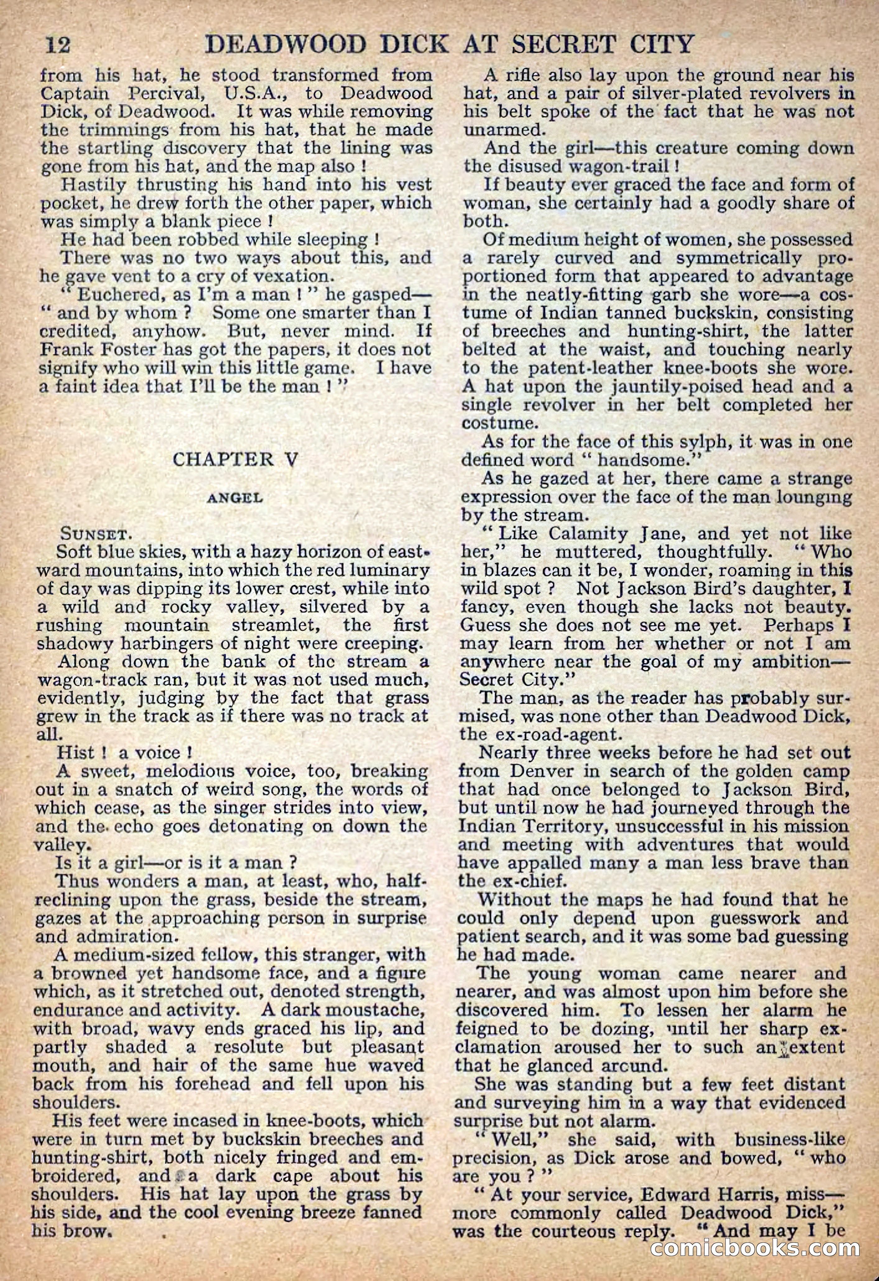 Deadwood Dick Library No. 32 — page 14 of 36