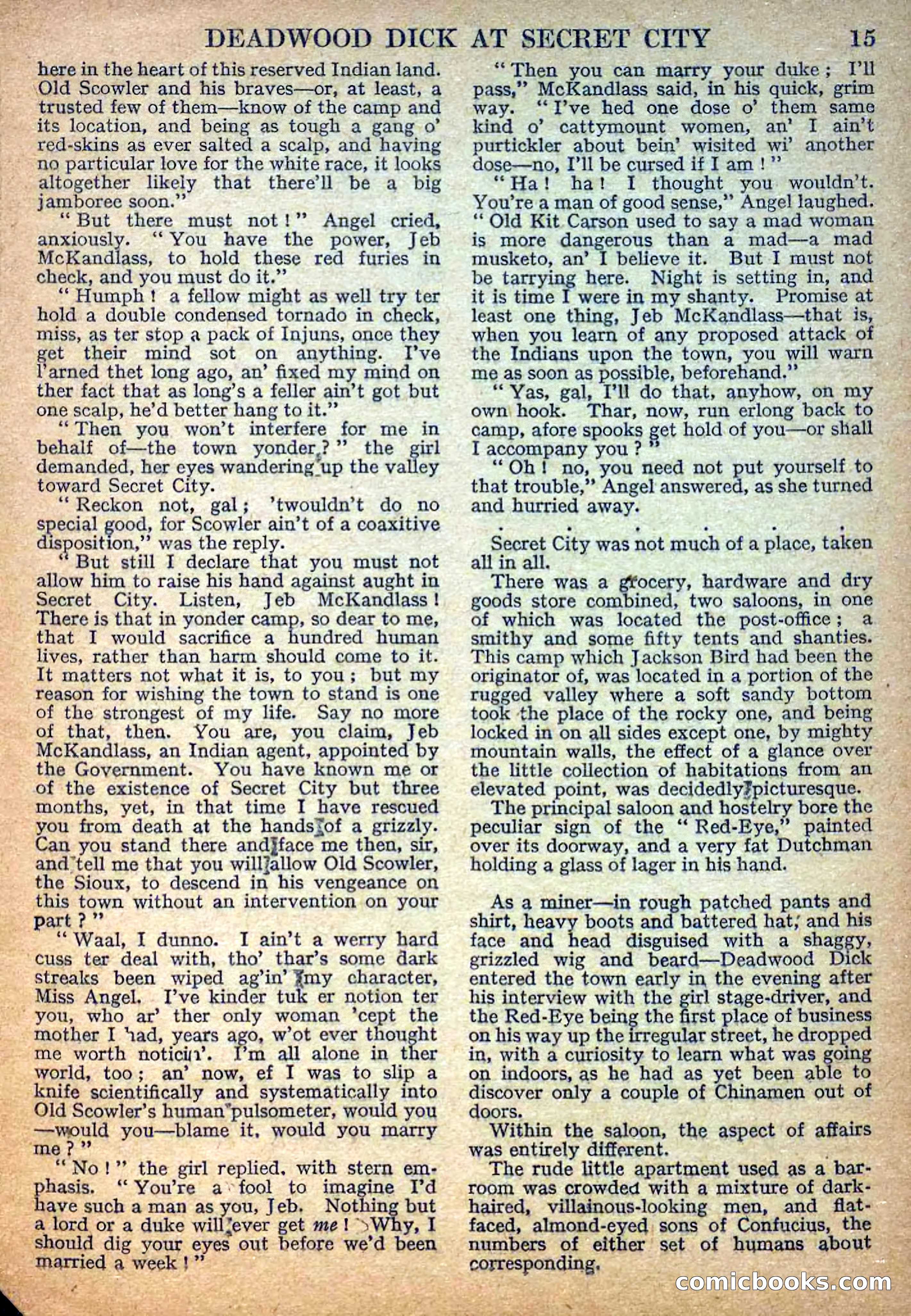 Deadwood Dick Library No. 32 — page 17 of 36