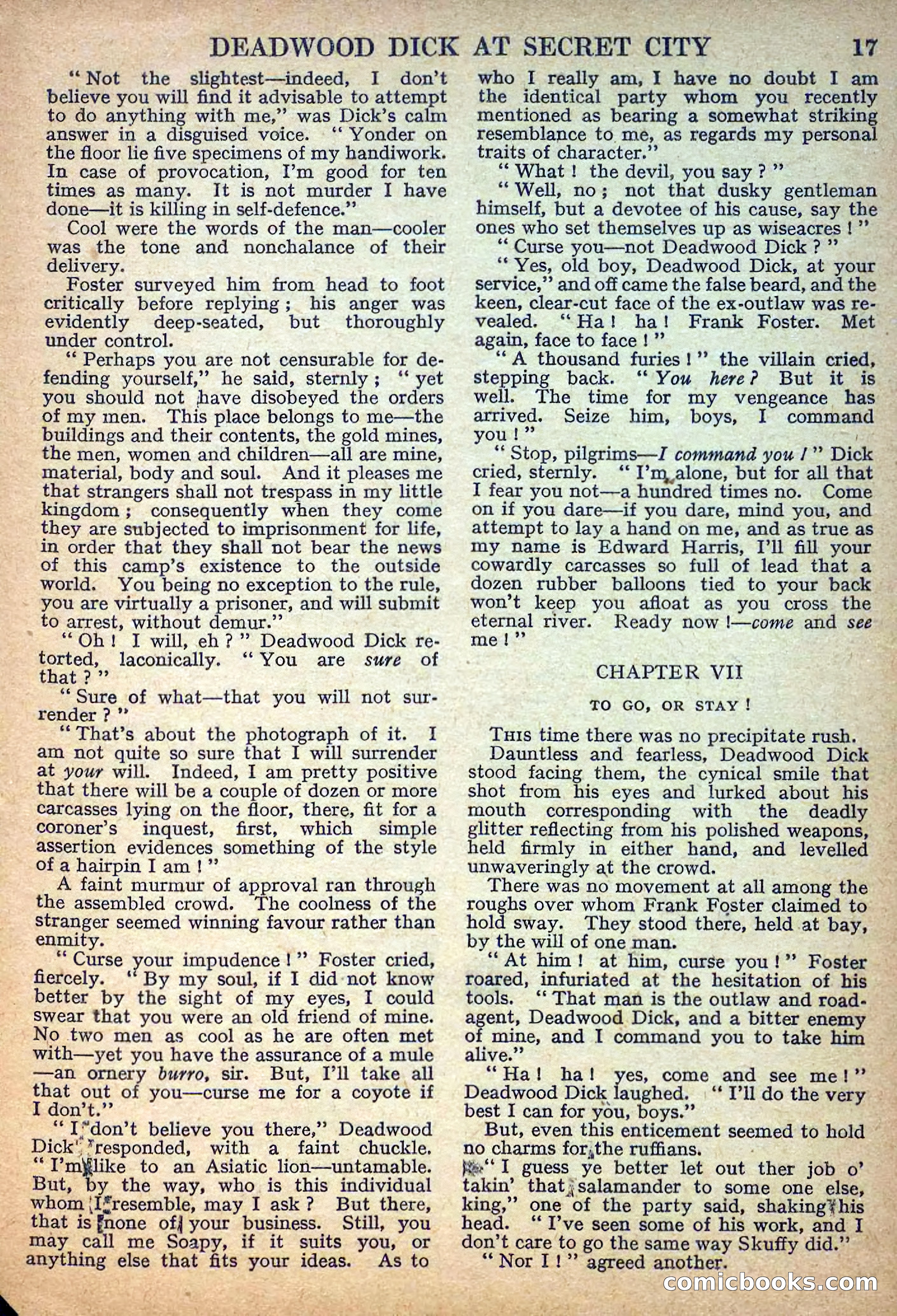 Deadwood Dick Library No. 32 — page 19 of 36