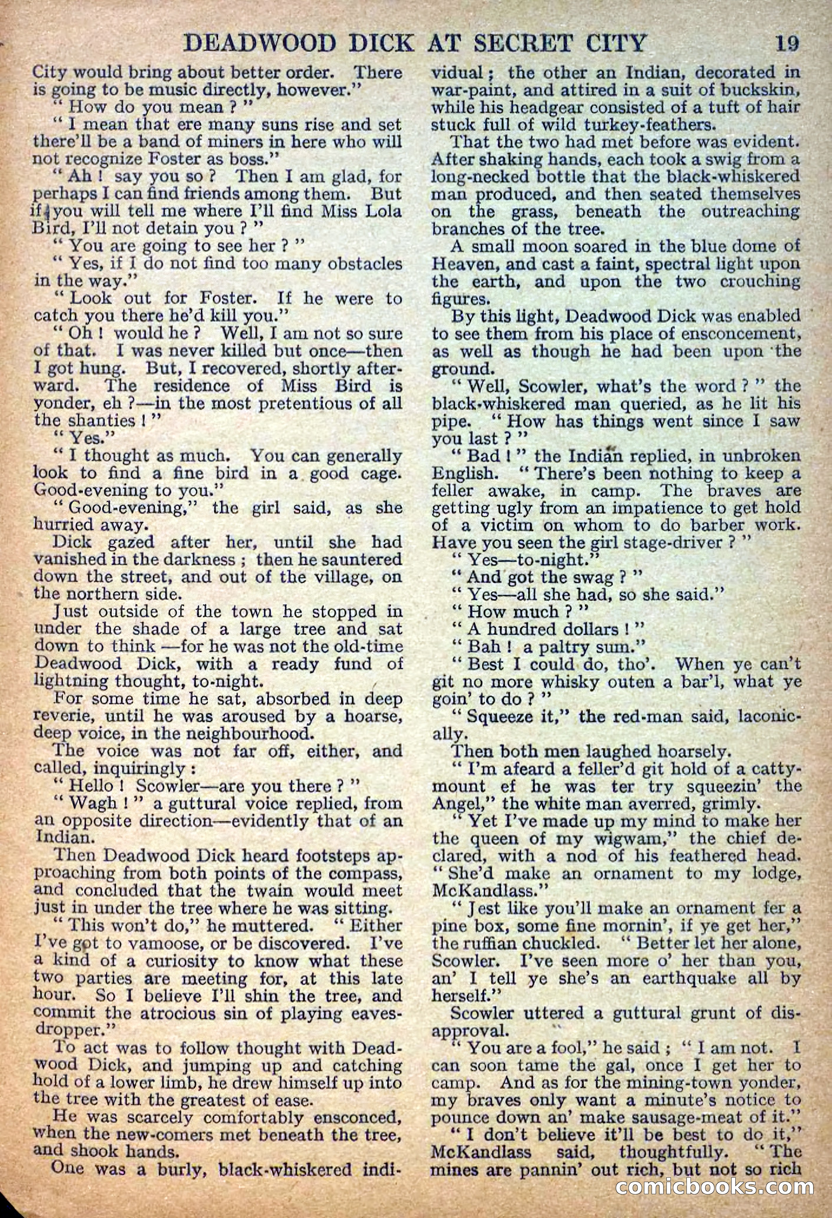 Deadwood Dick Library No. 32 — page 21 of 36