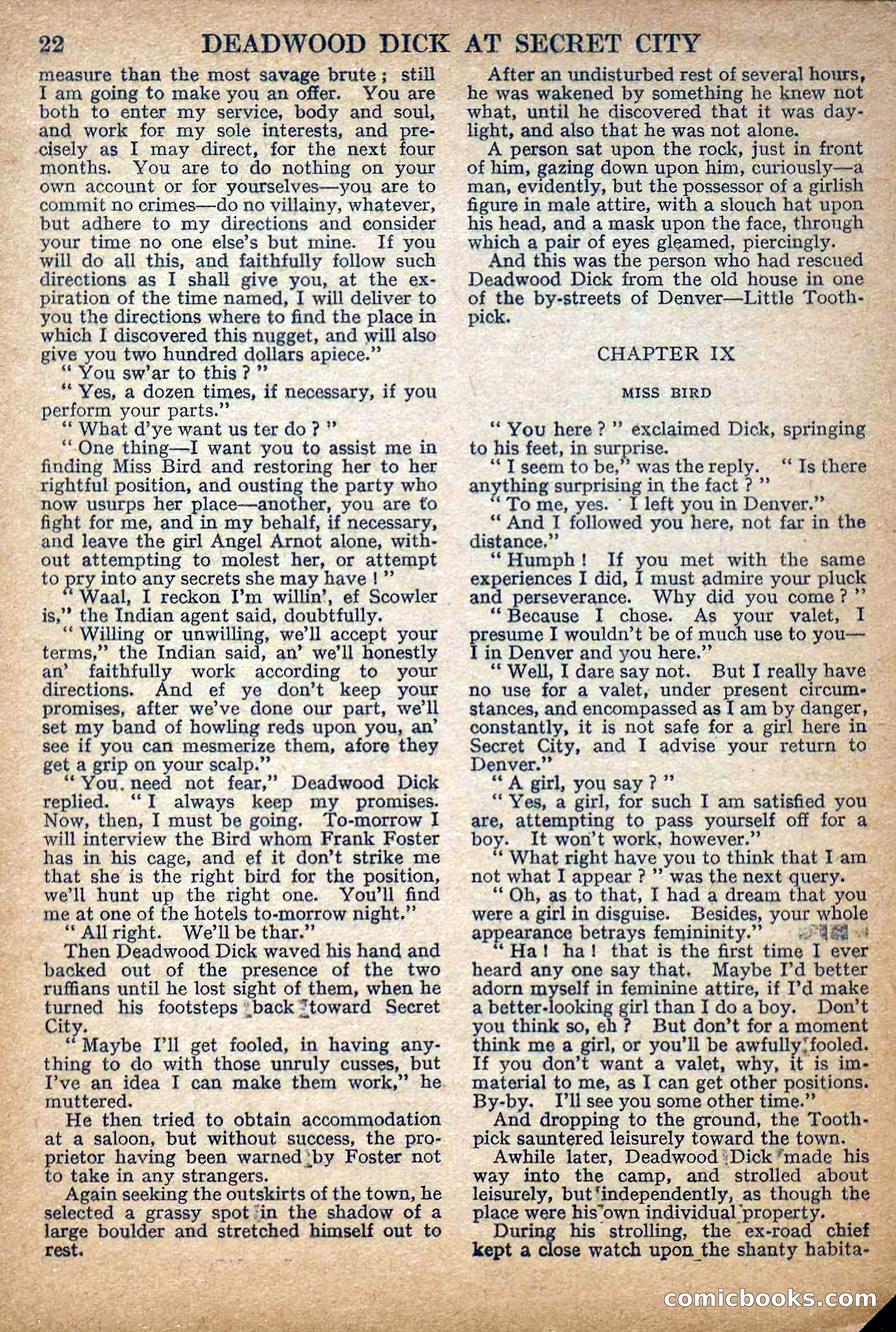 Deadwood Dick Library No. 32 — page 24 of 36