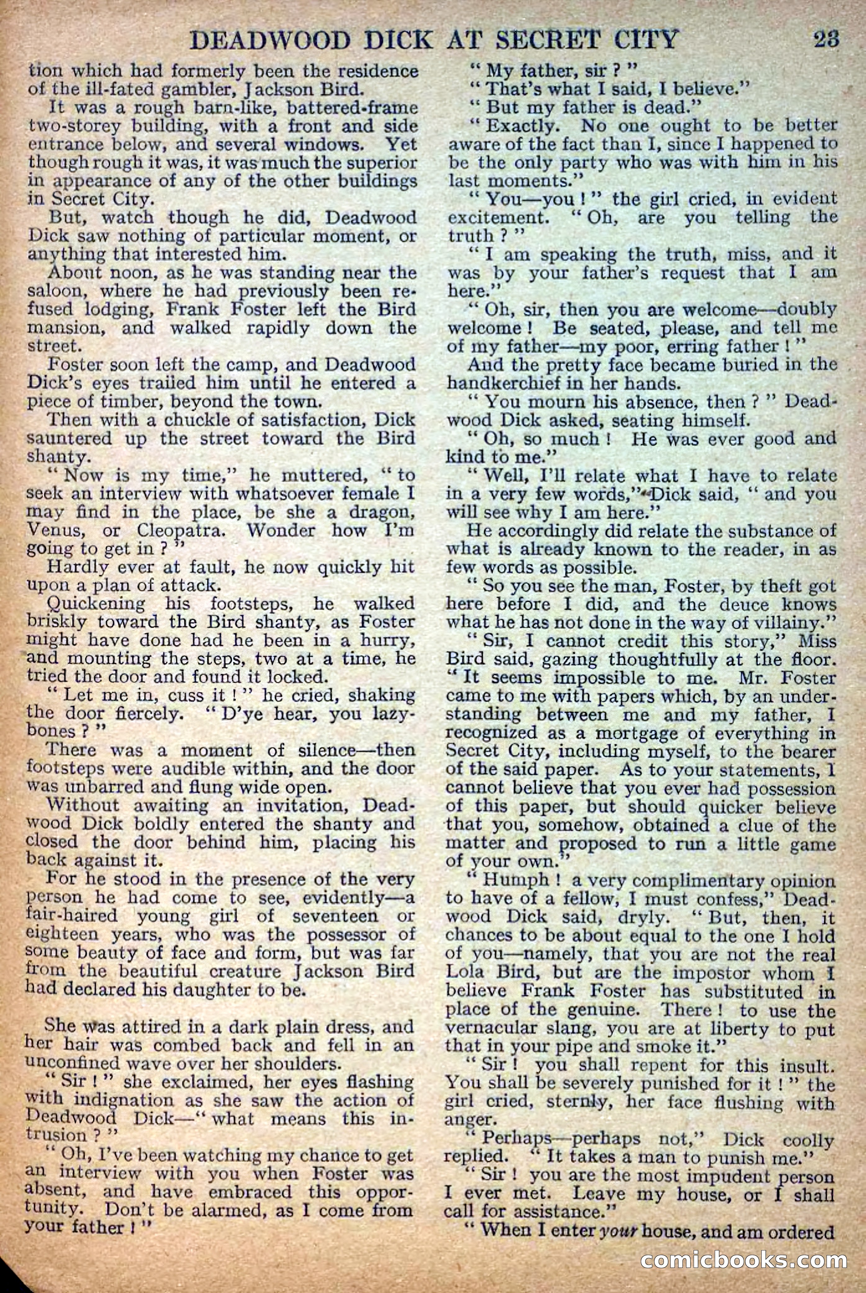 Deadwood Dick Library No. 32 — page 25 of 36