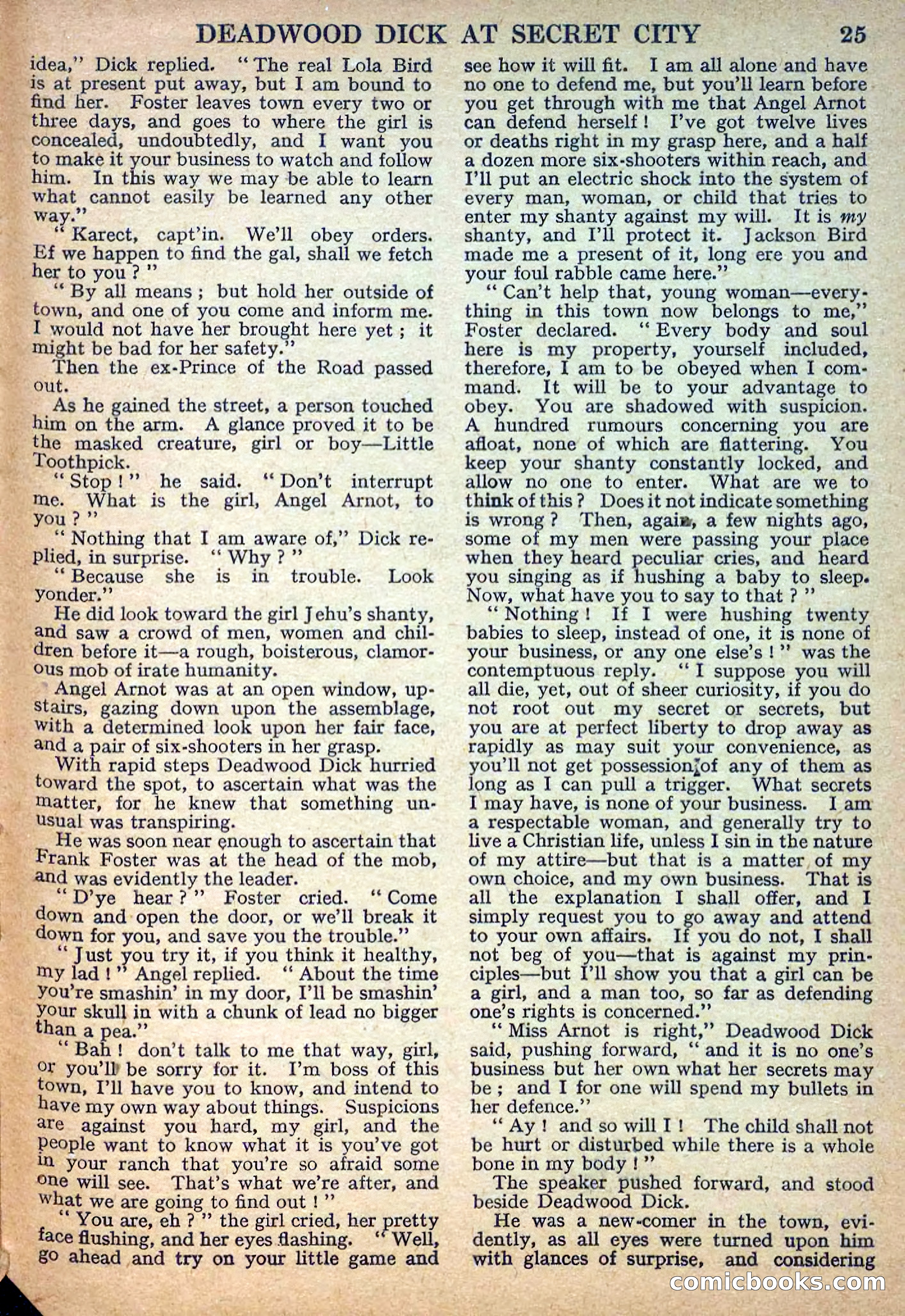 Deadwood Dick Library No. 32 — page 27 of 36
