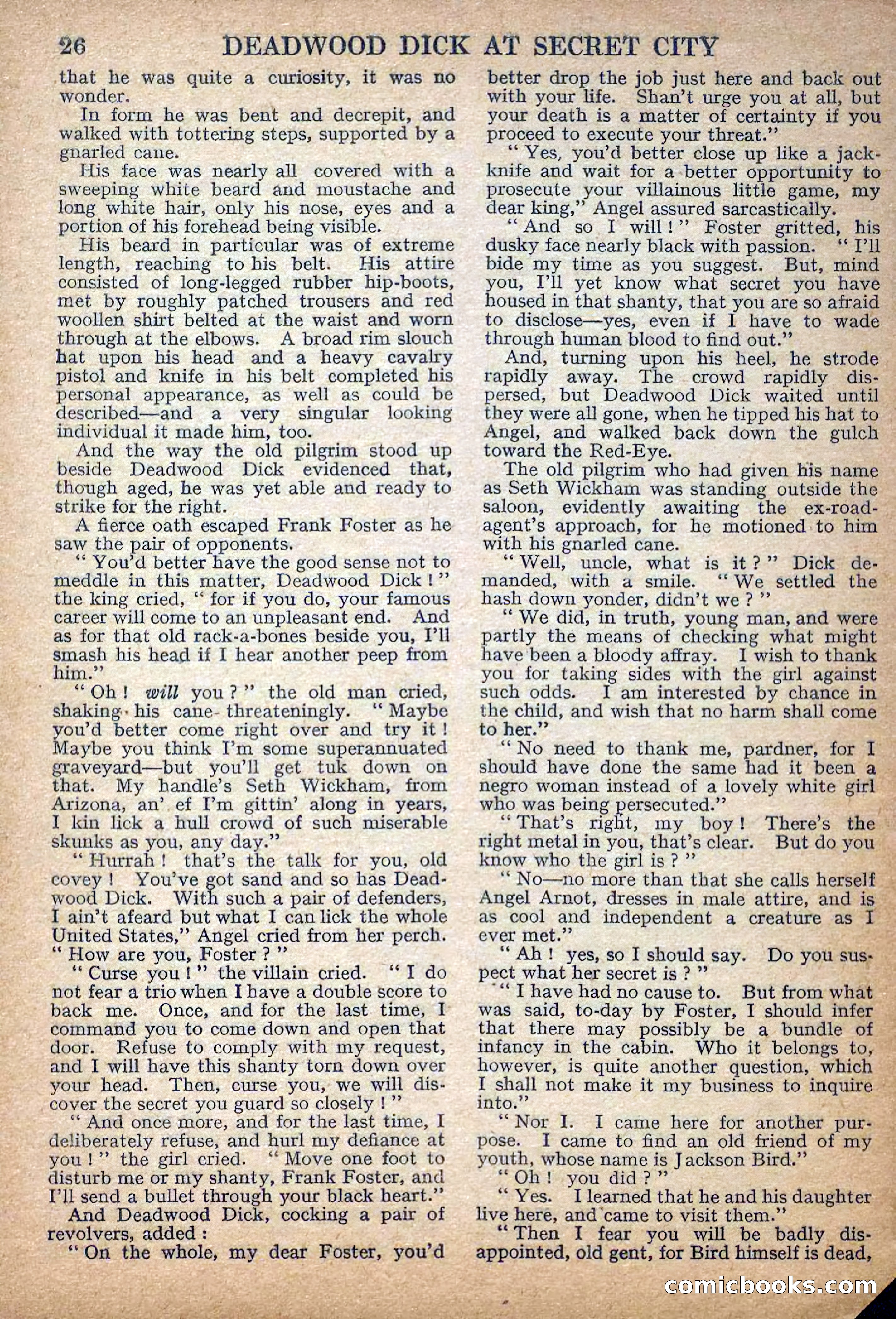 Deadwood Dick Library No. 32 — page 28 of 36