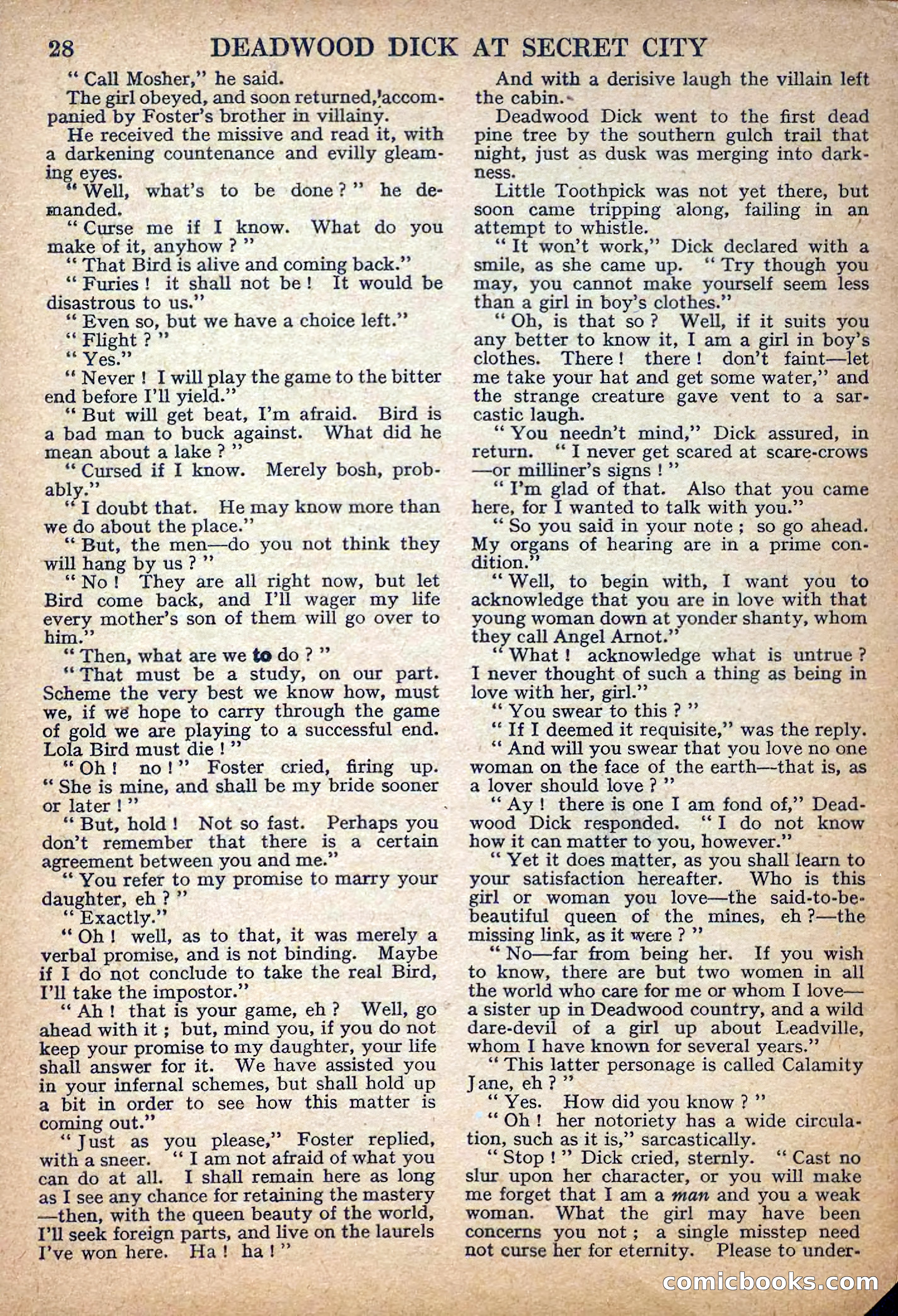 Deadwood Dick Library No. 32 — page 30 of 36