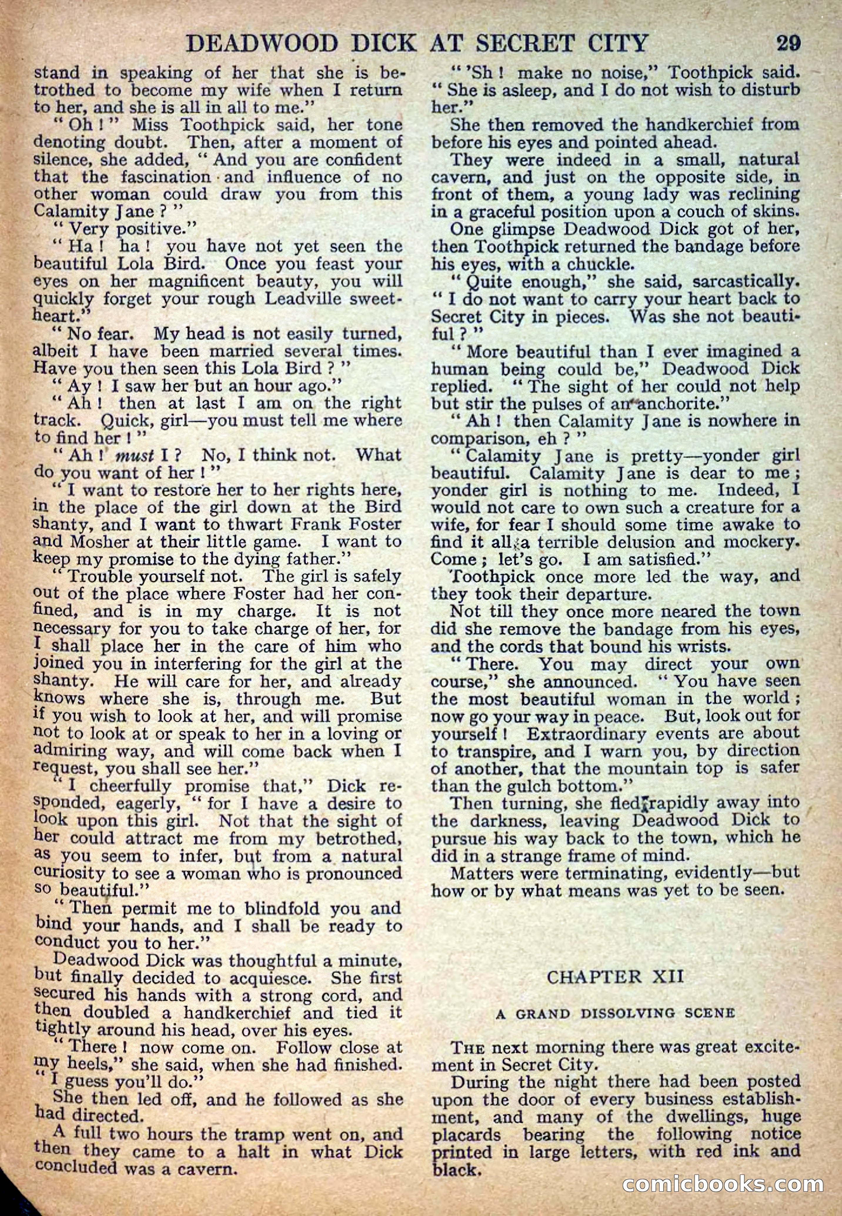 Deadwood Dick Library No. 32 — page 31 of 36