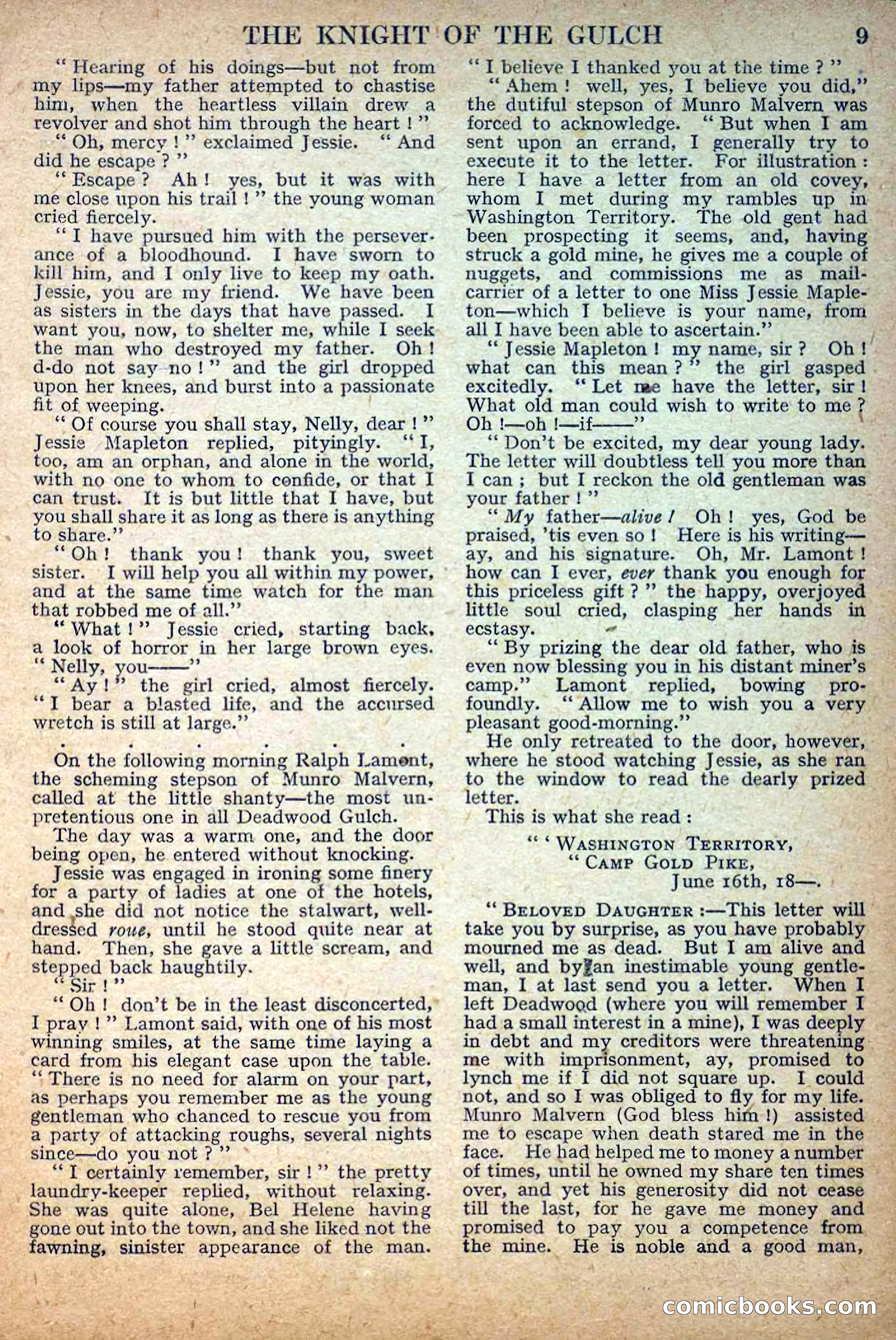 Deadwood Dick Library No. 33 — page 11 of 36