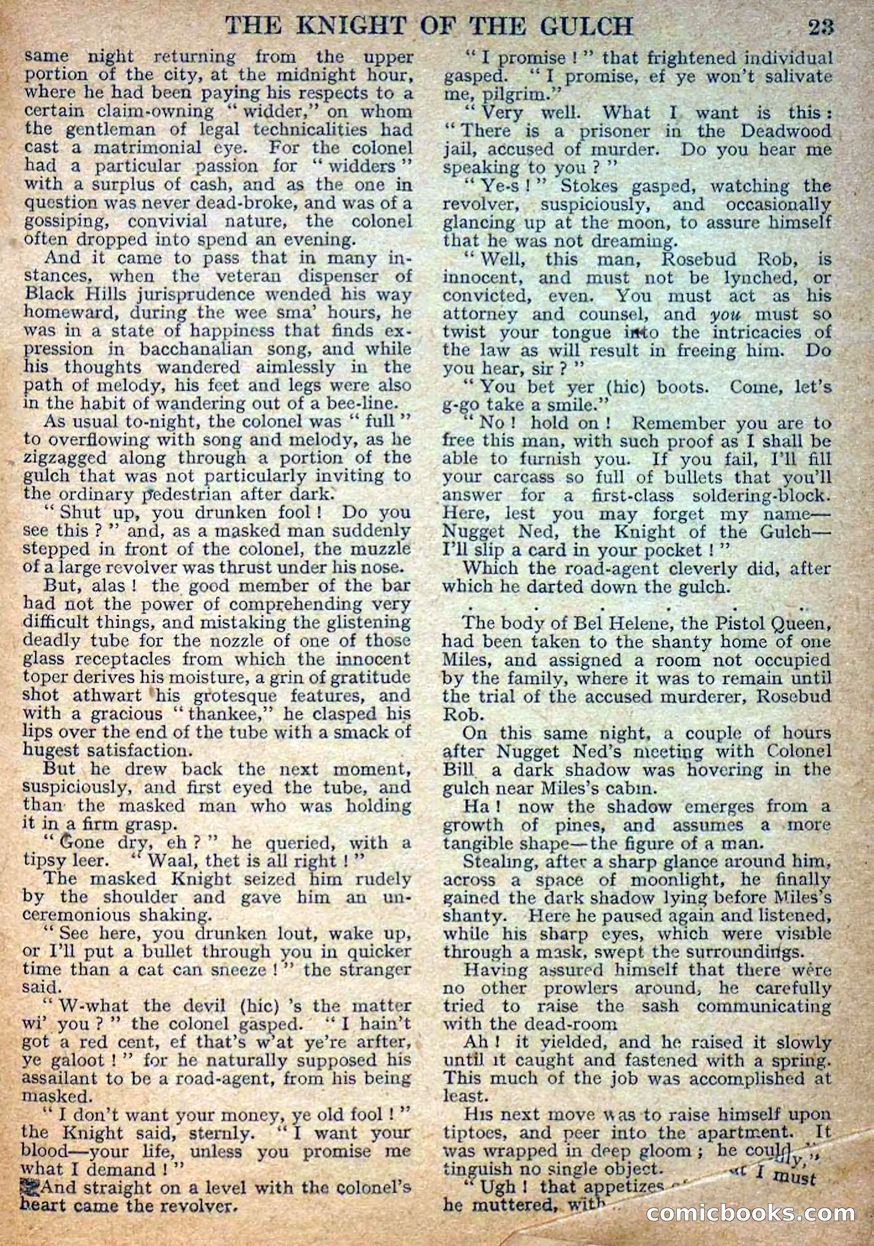 Deadwood Dick Library No. 33 — page 25 of 36