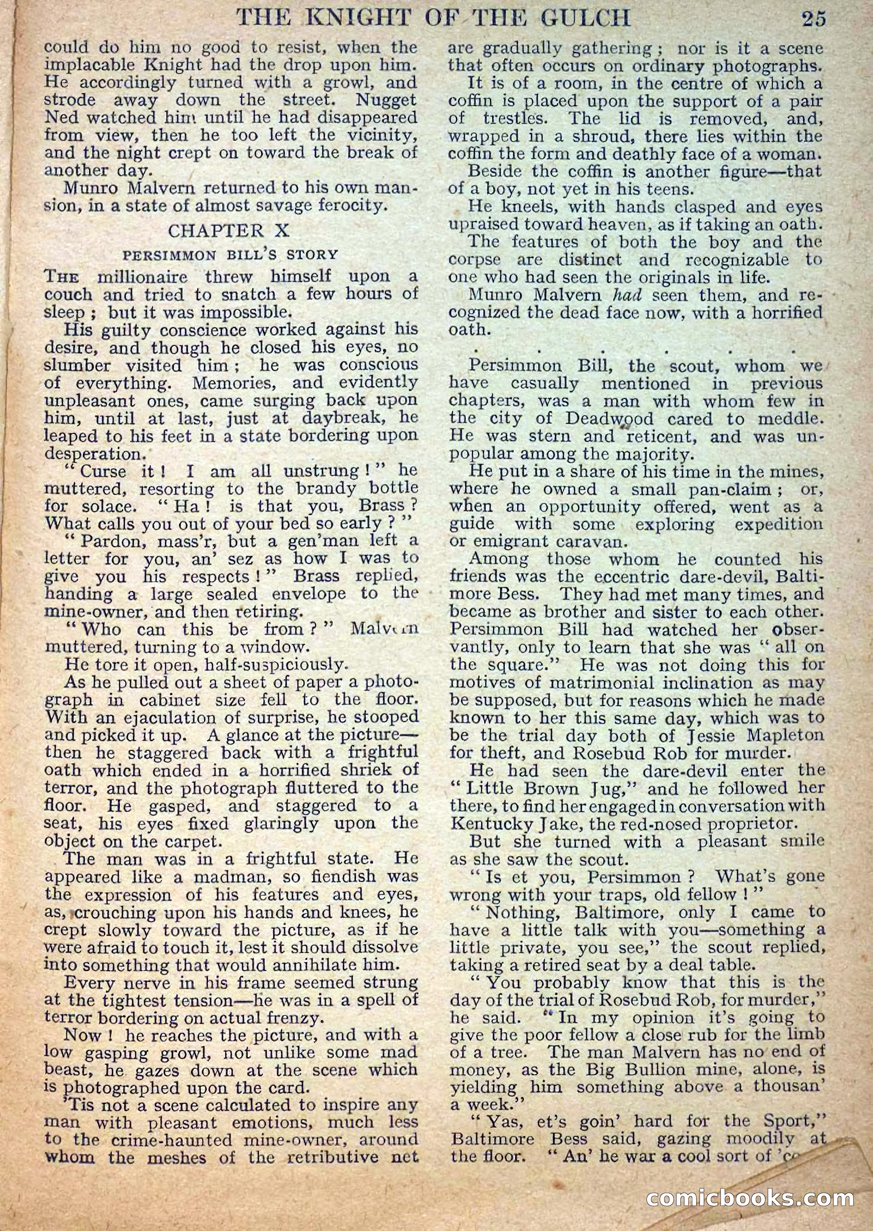 Deadwood Dick Library No. 33 — page 27 of 36