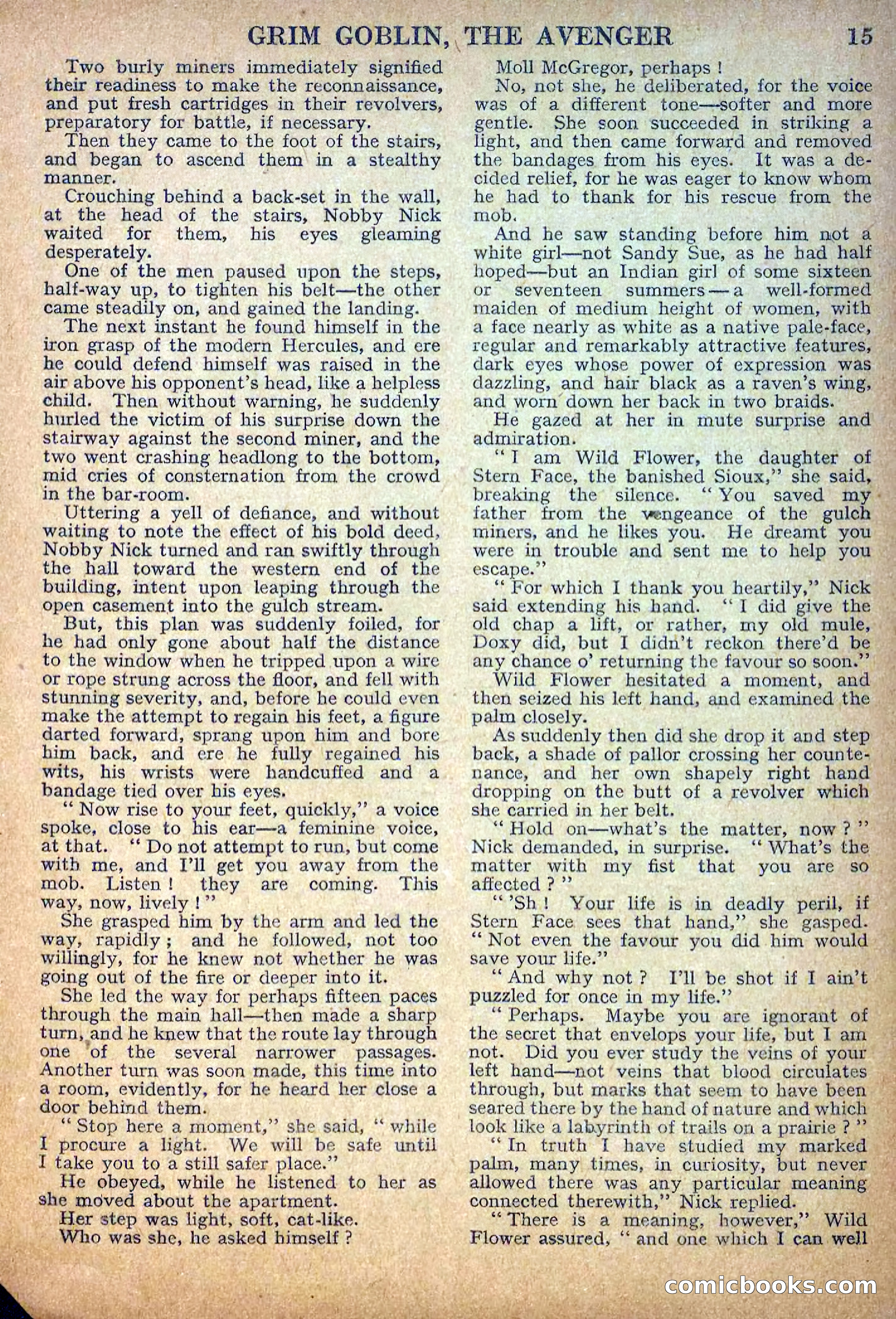 Deadwood Dick Library No. 34 — page 17 of 36