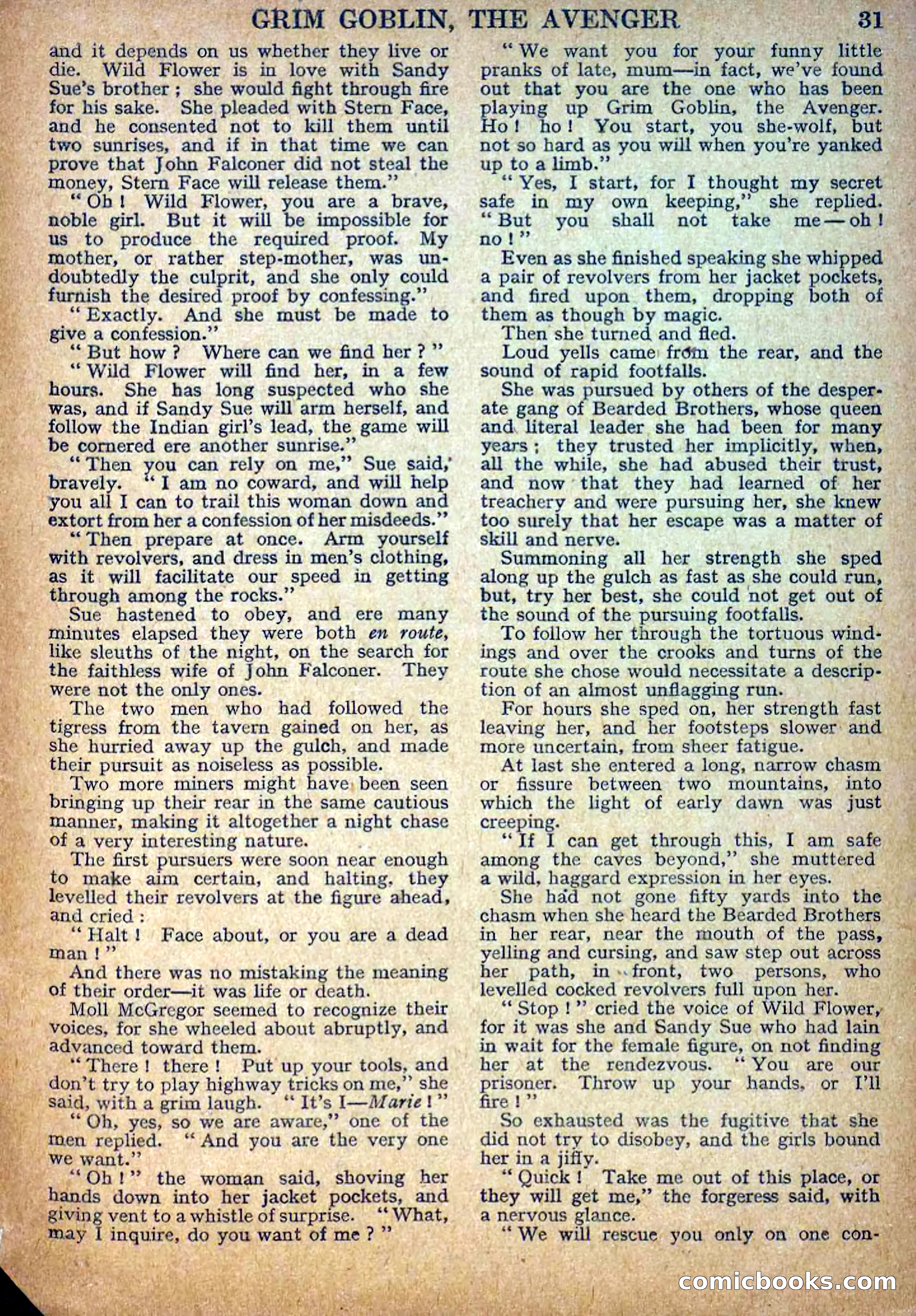 Deadwood Dick Library No. 34 — page 33 of 36