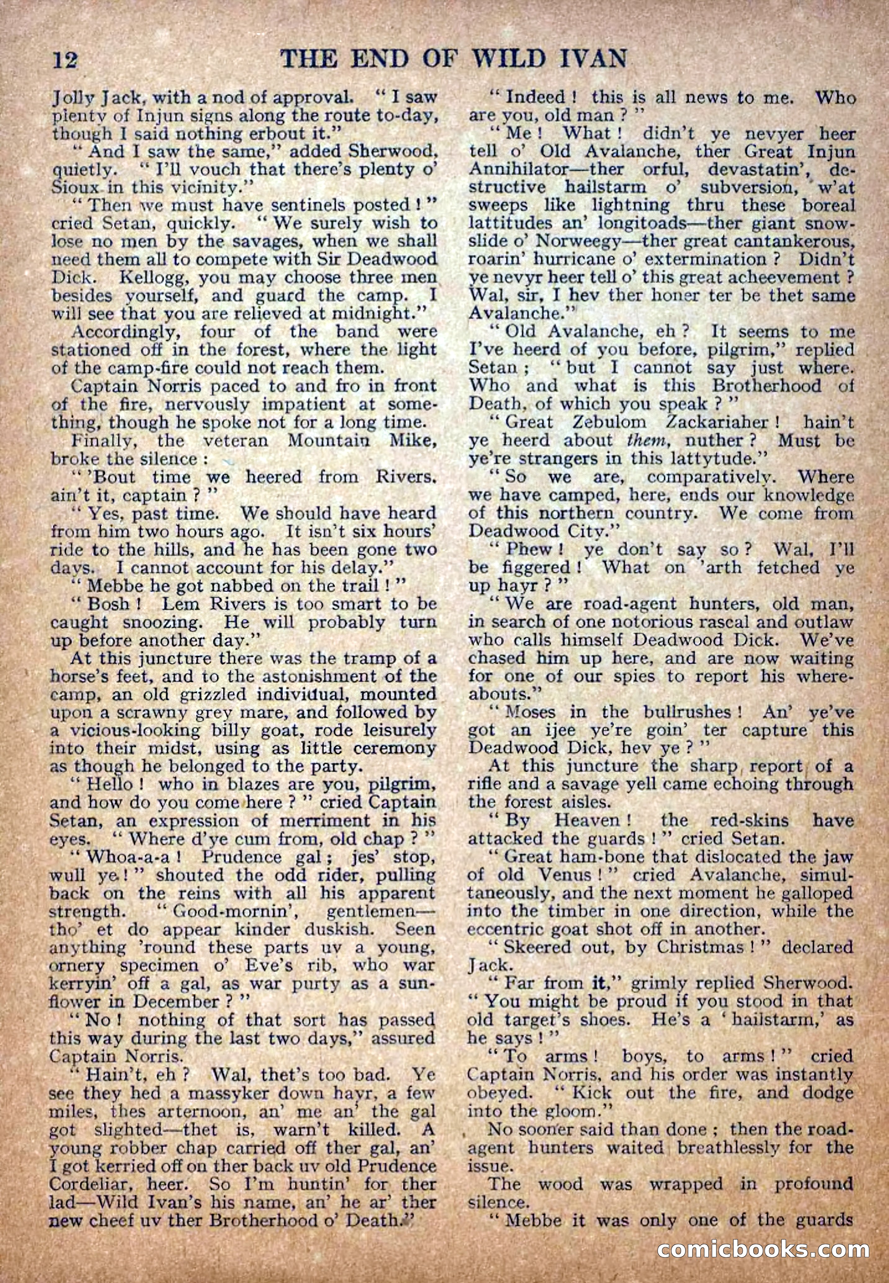 Deadwood Dick Library, No. 5 — page 14 of 36